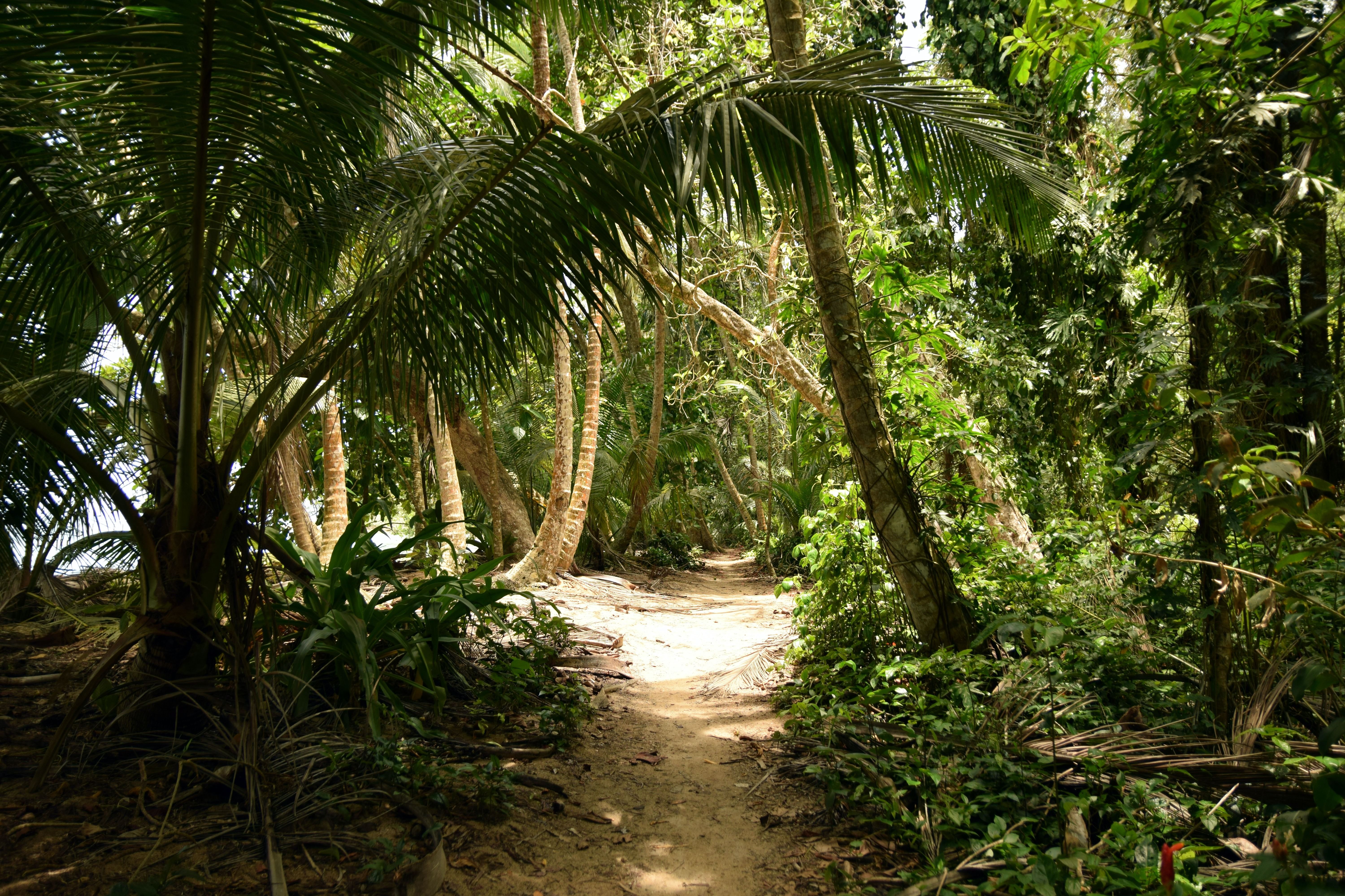 Trip Photo 4