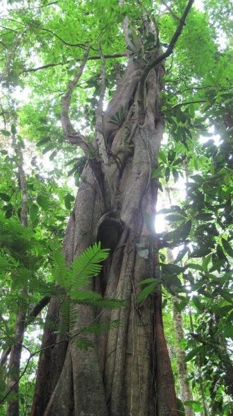 Trip Photo 6