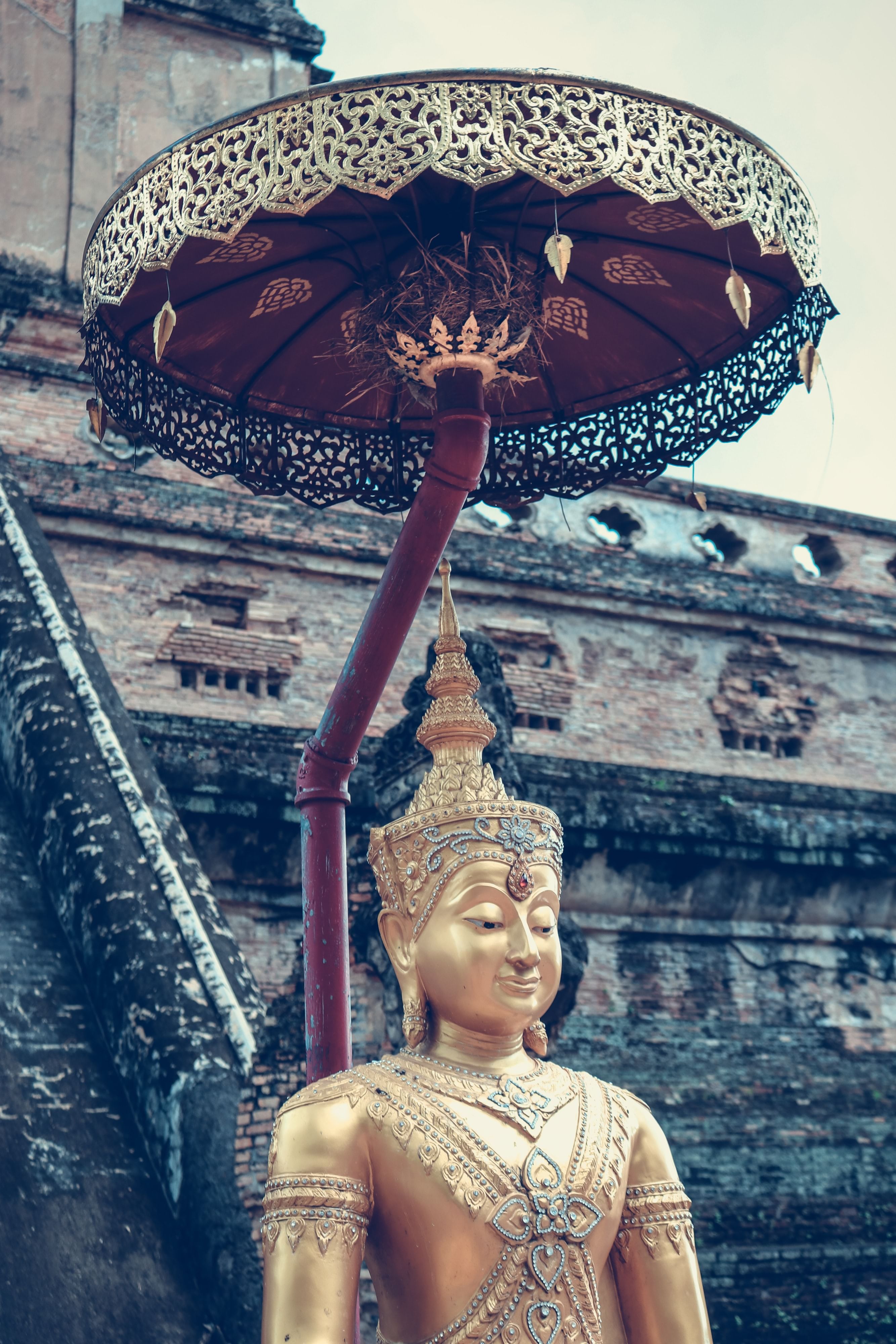 Trip Photo 8