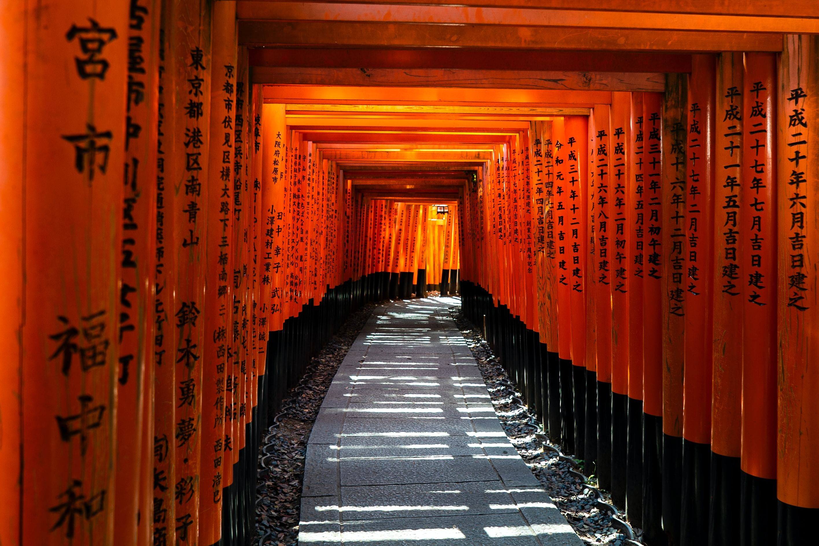 Trip Photo 4