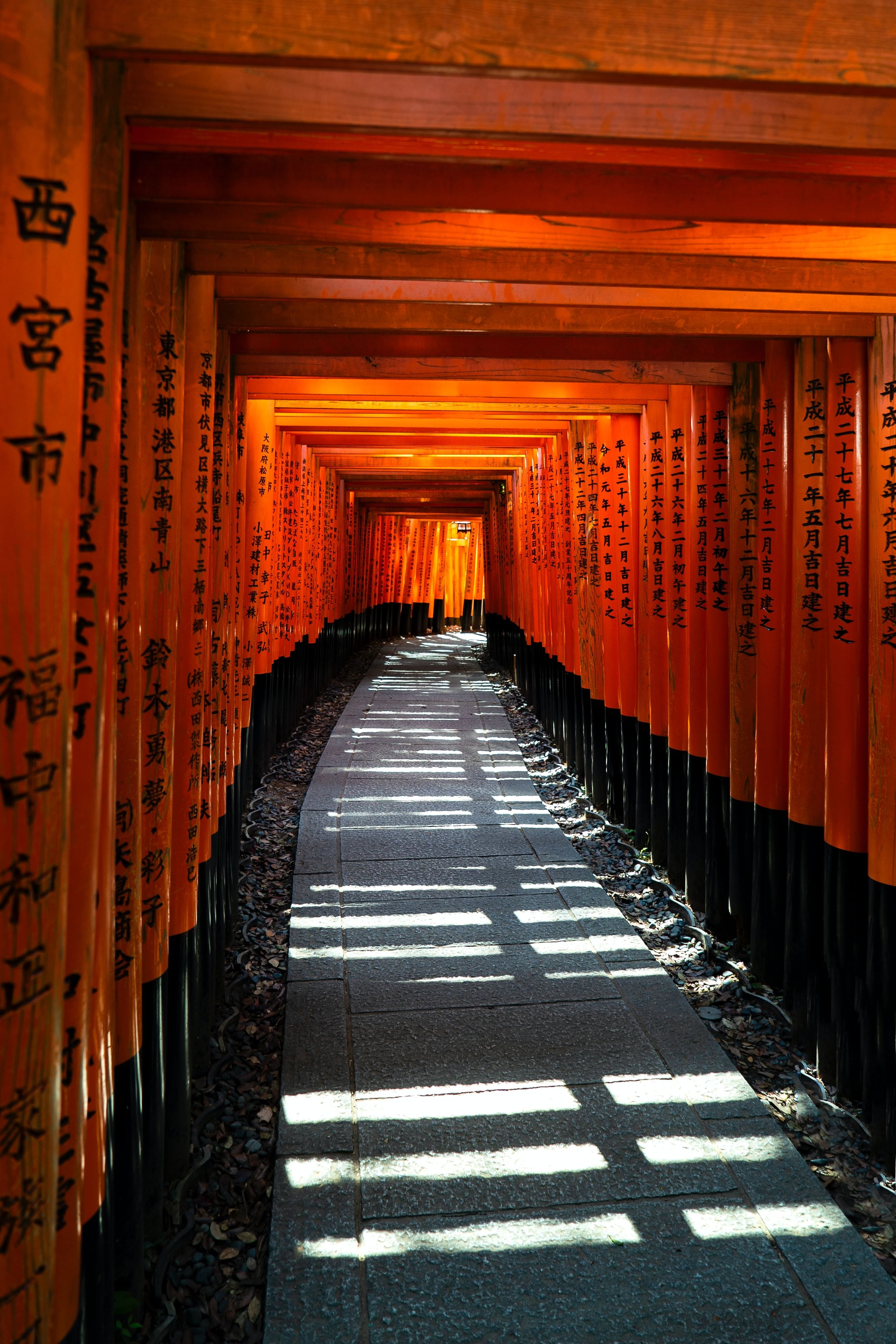 Trip Photo 8