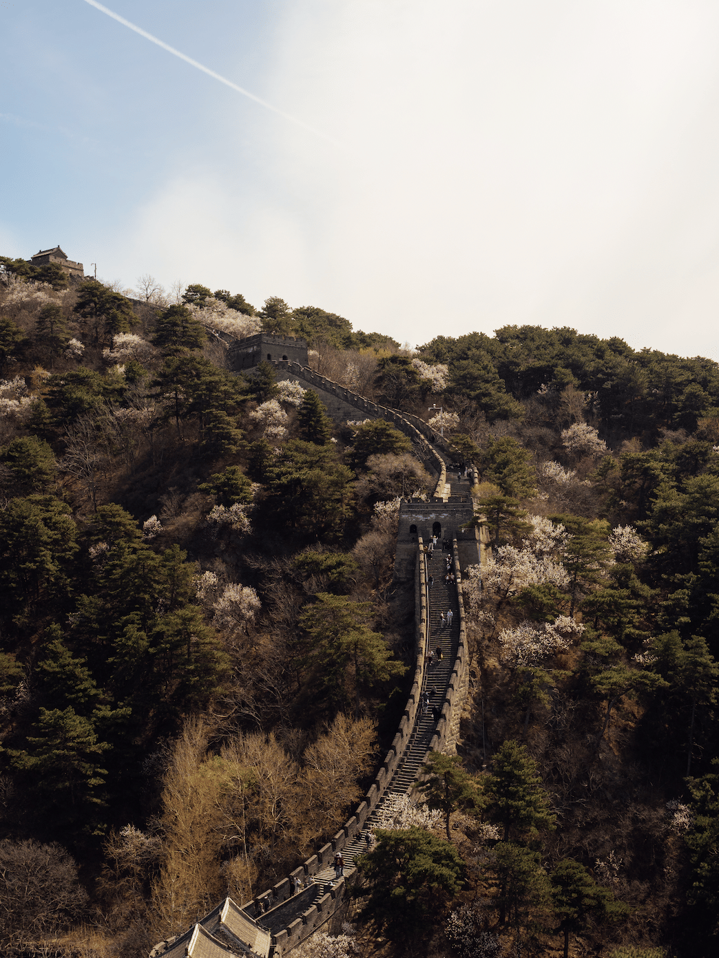 Trip Photo 7