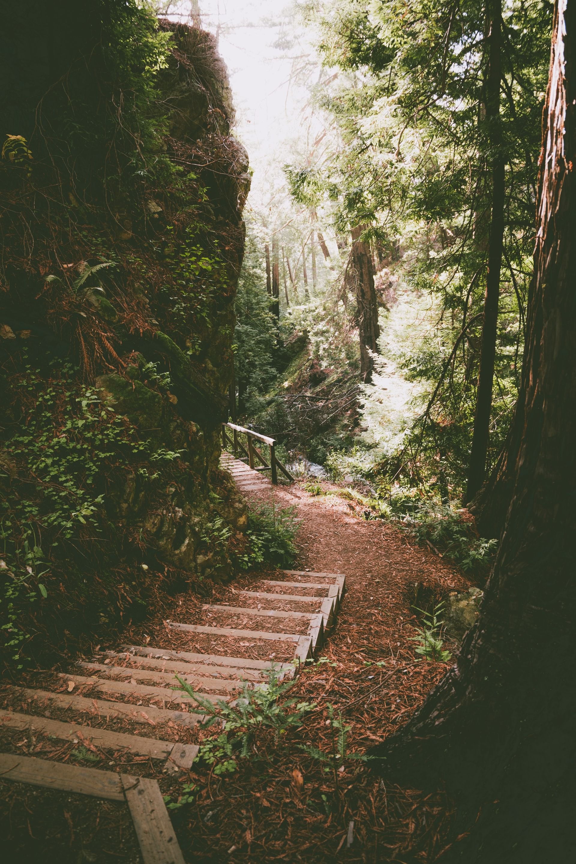 Trip Photo 5