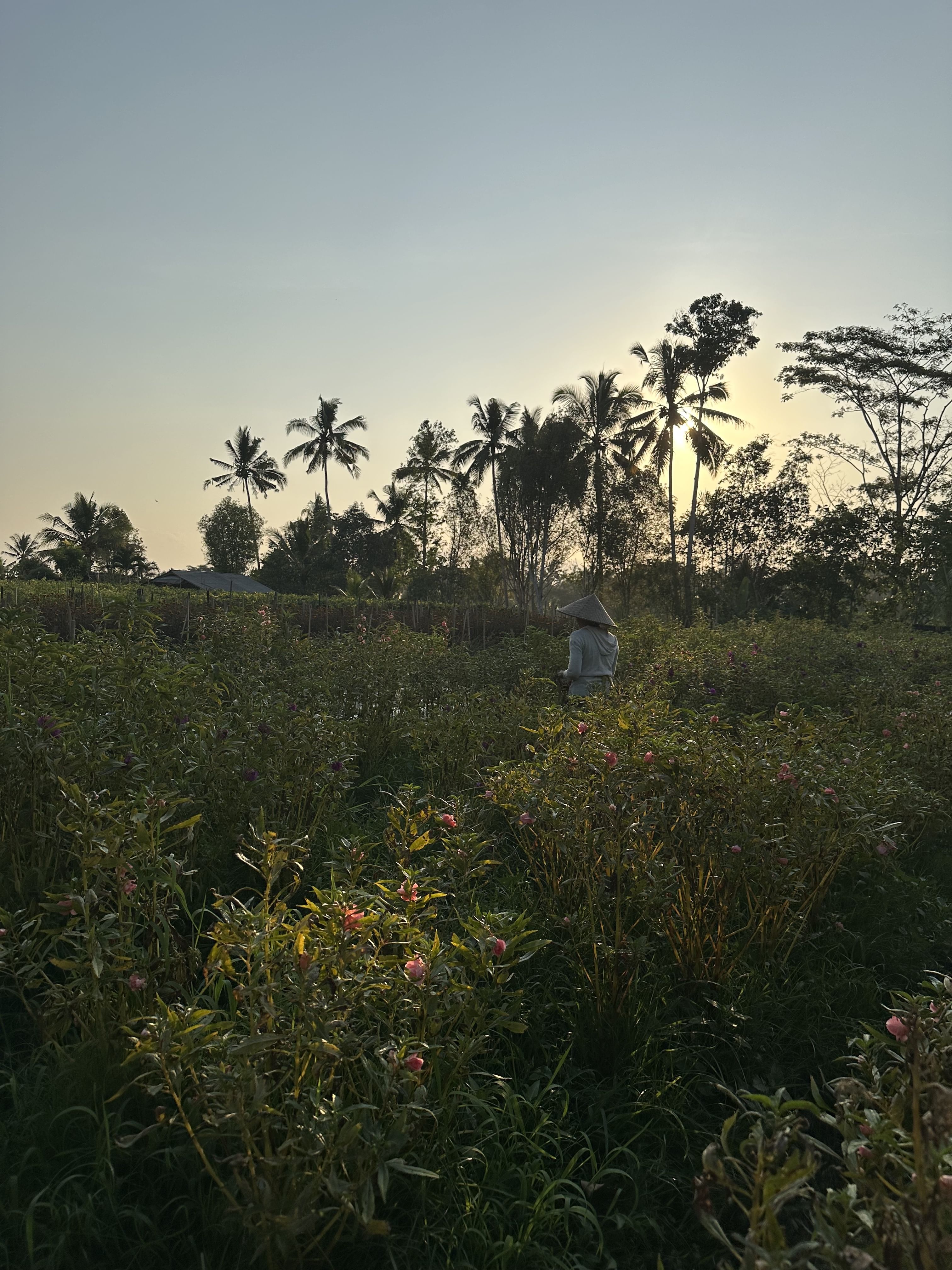 Trip Photo 7