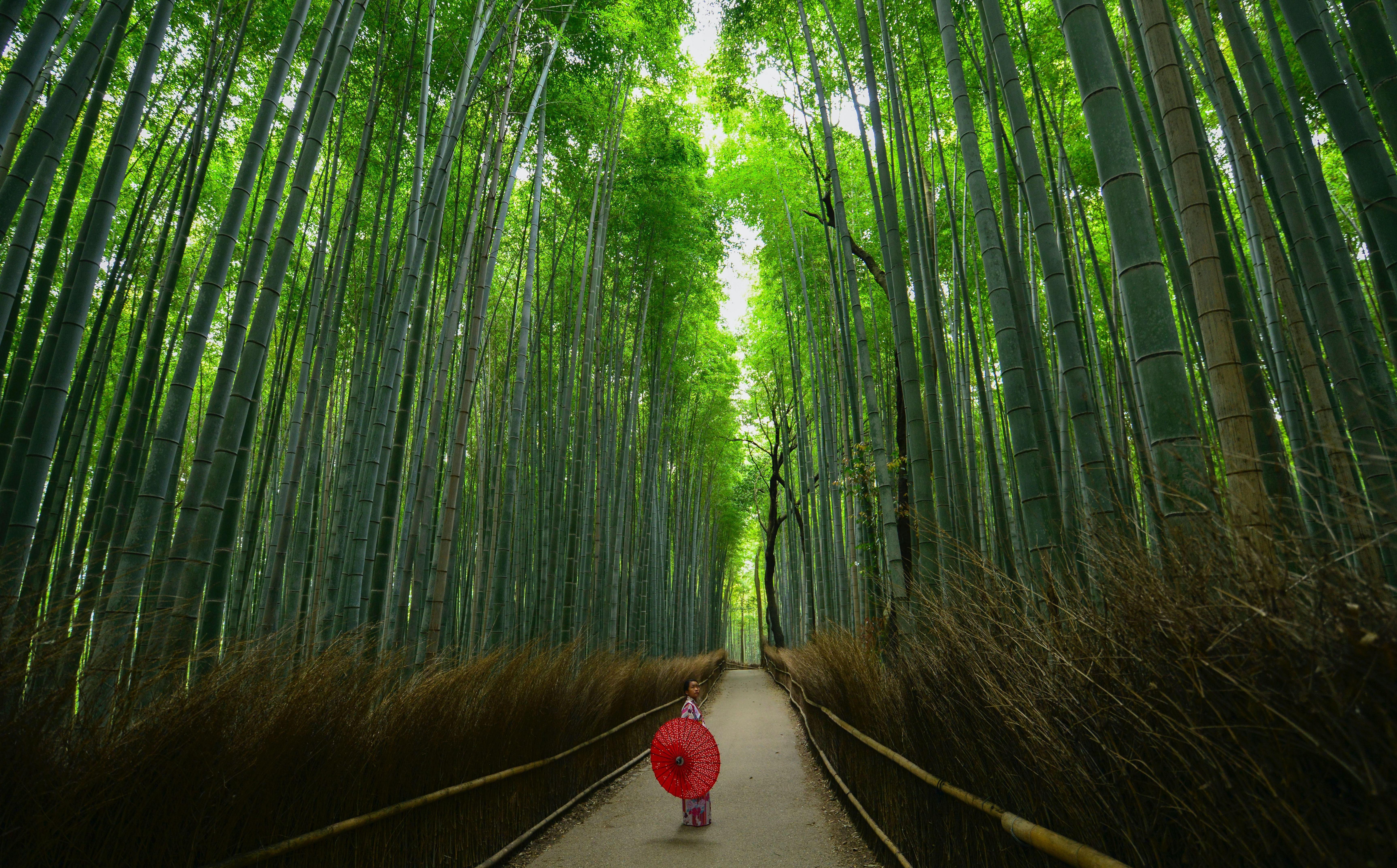 Trip Photo 9