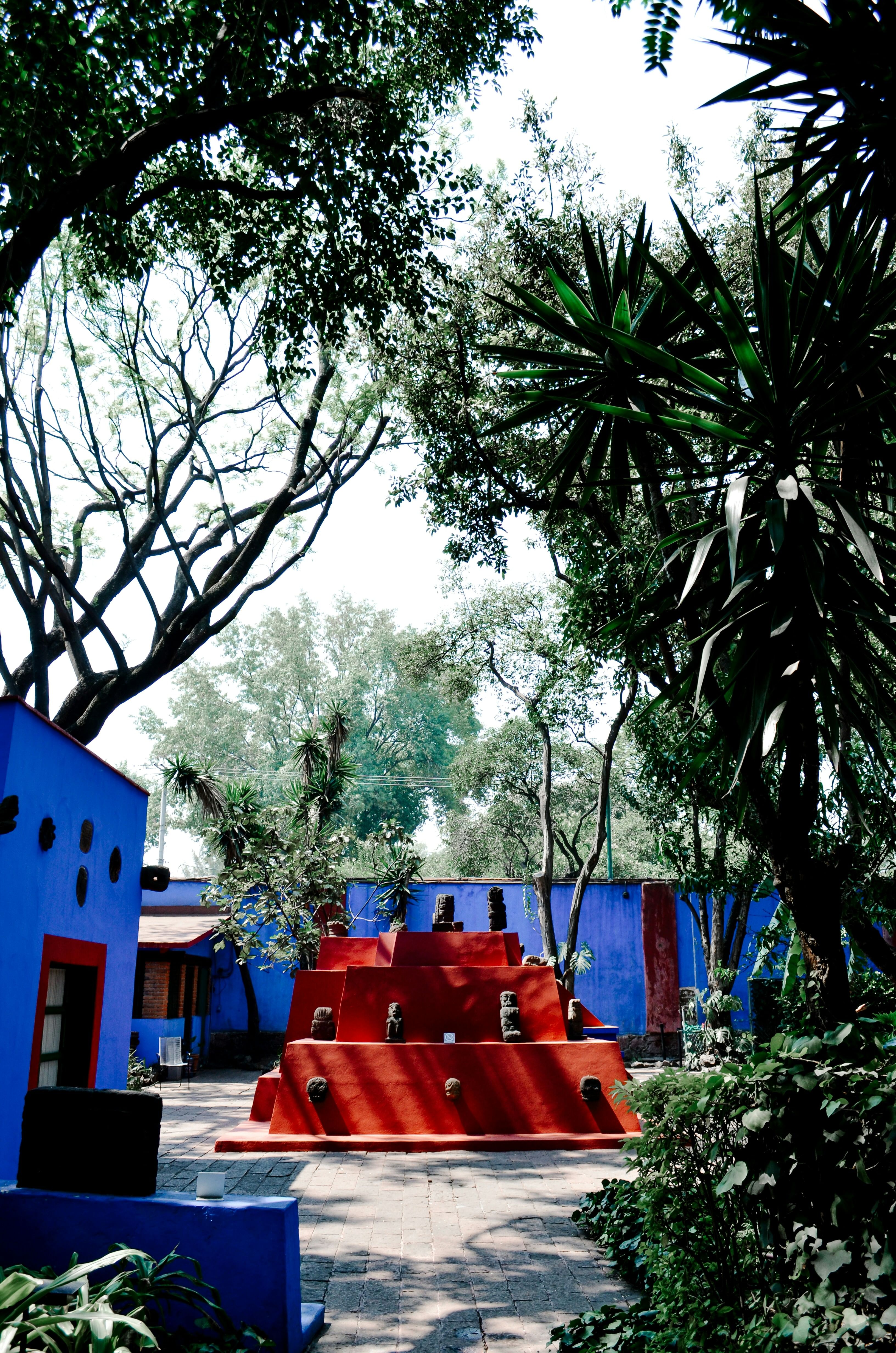 Trip Photo 5