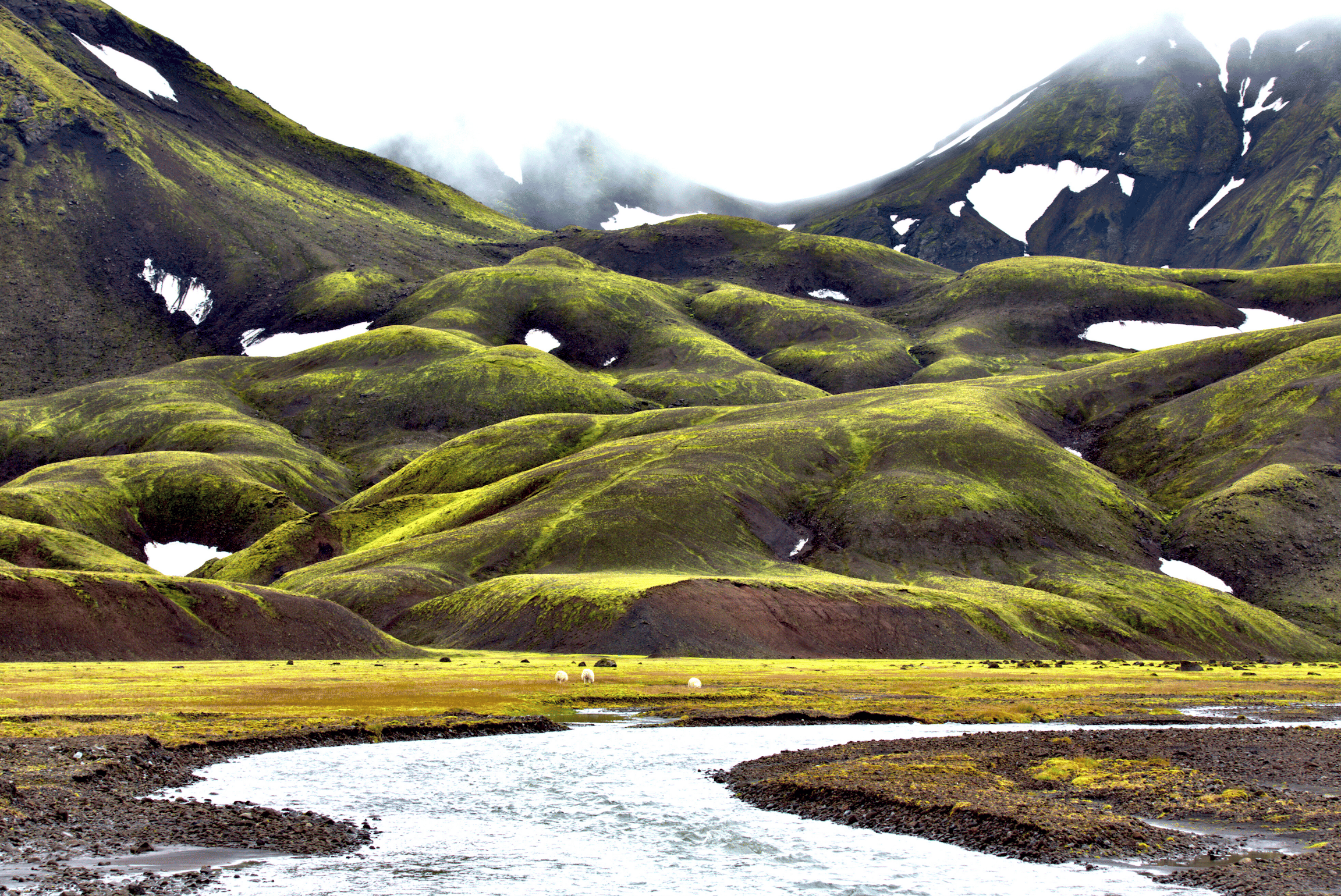 Trip Photo 6