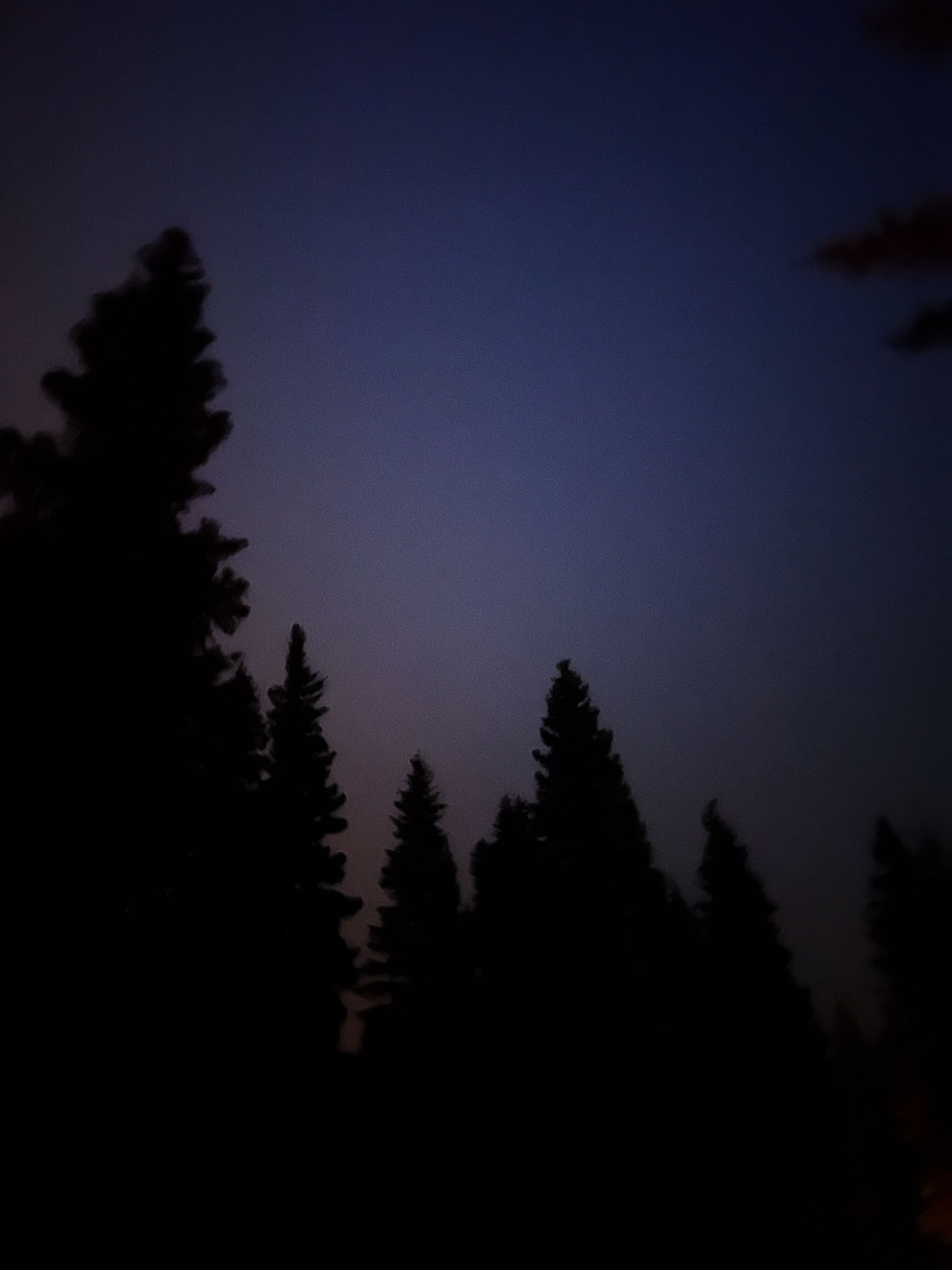 Trip Photo 9