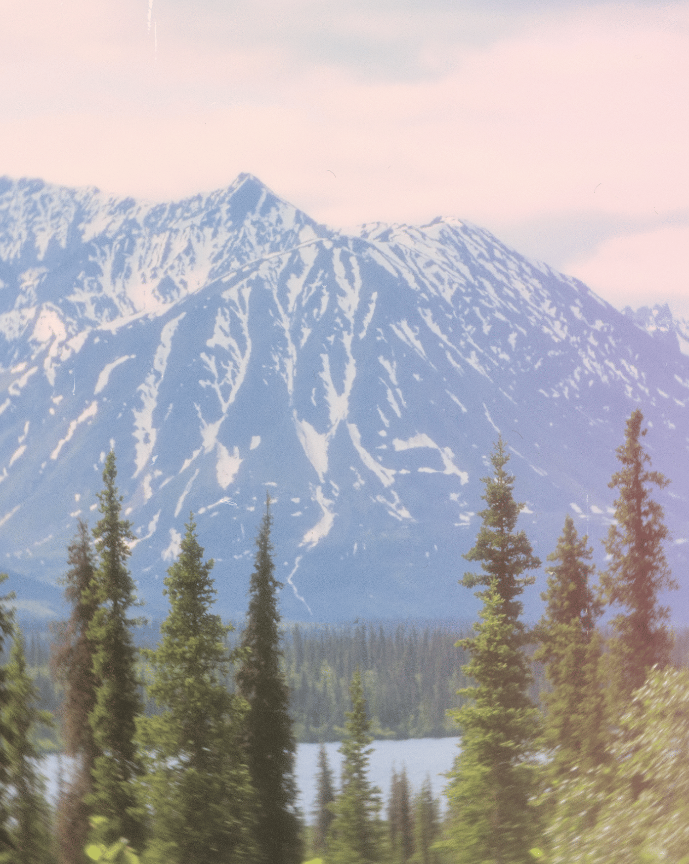 Trip Photo 4