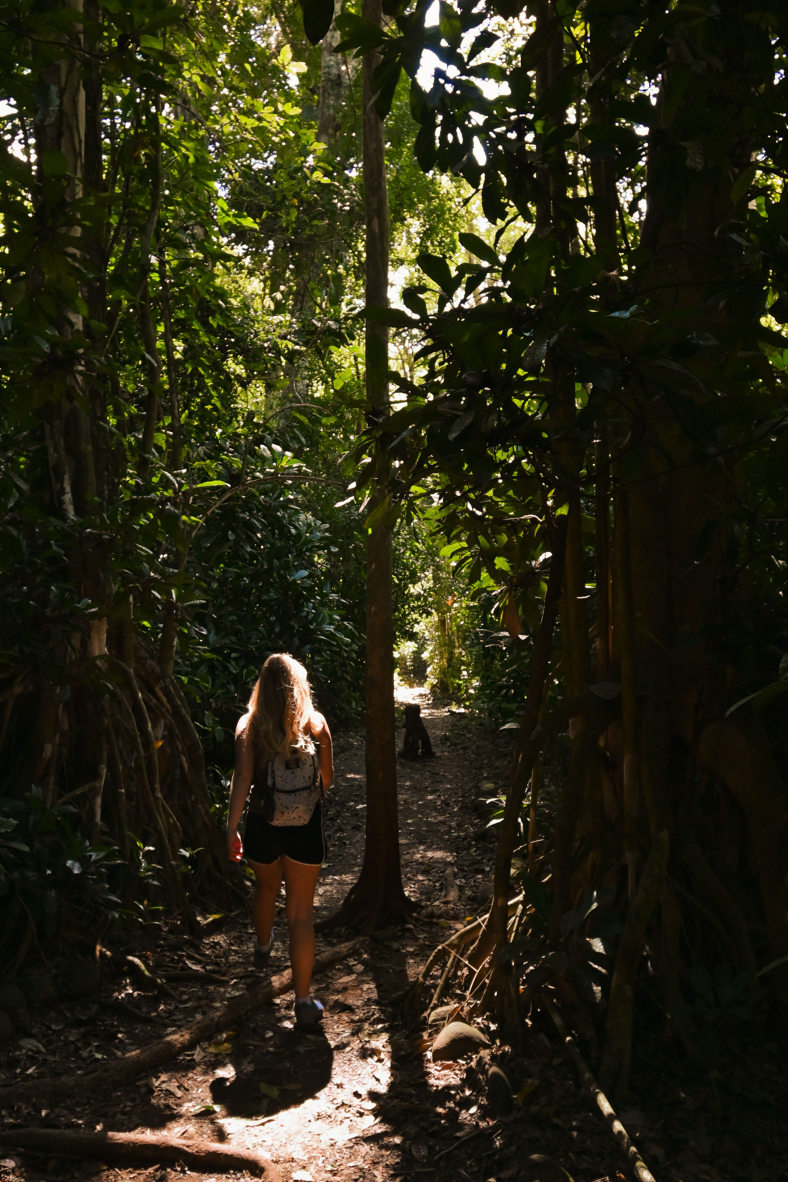 Trip Photo 3