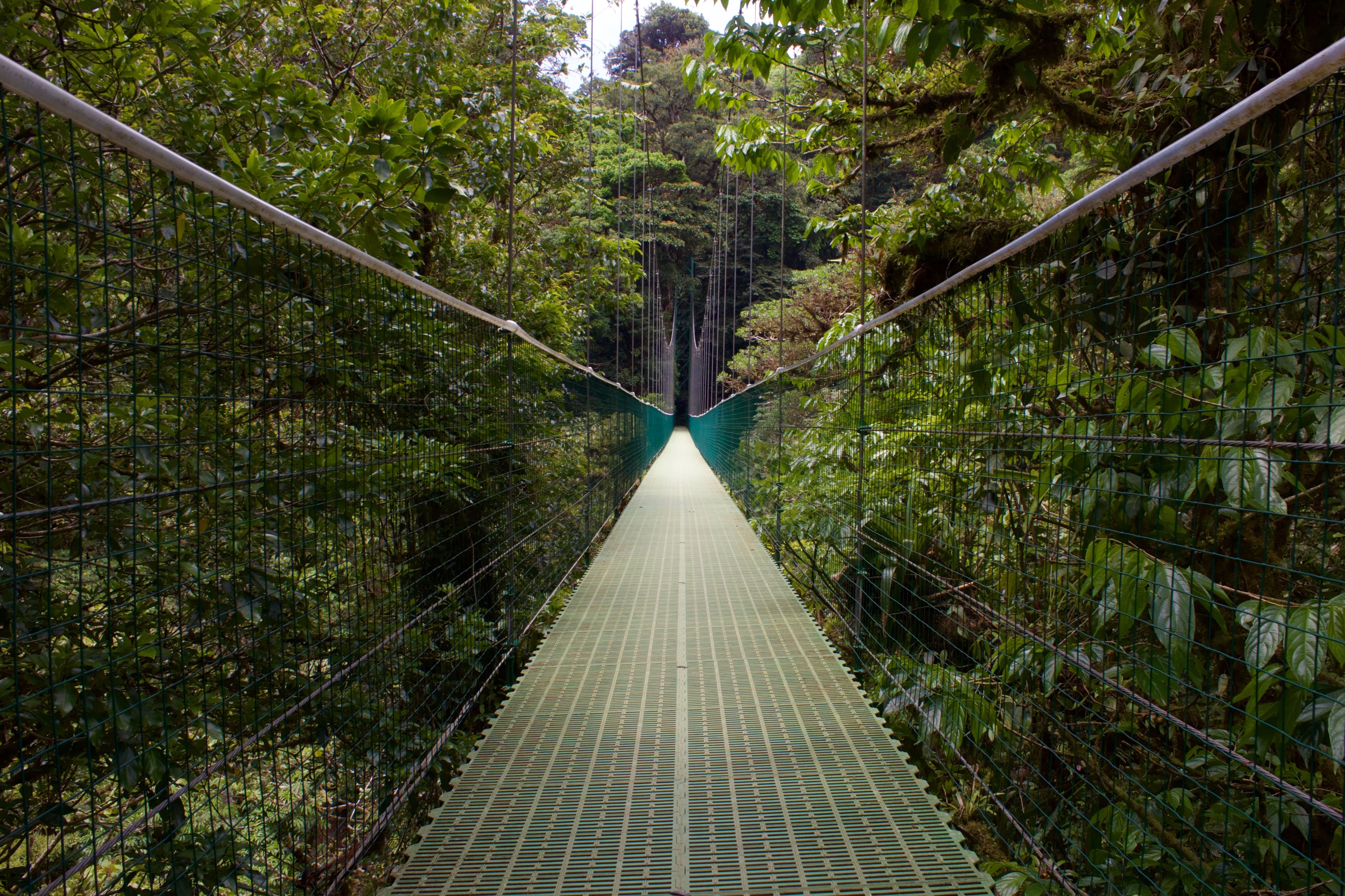 Trip Photo 4