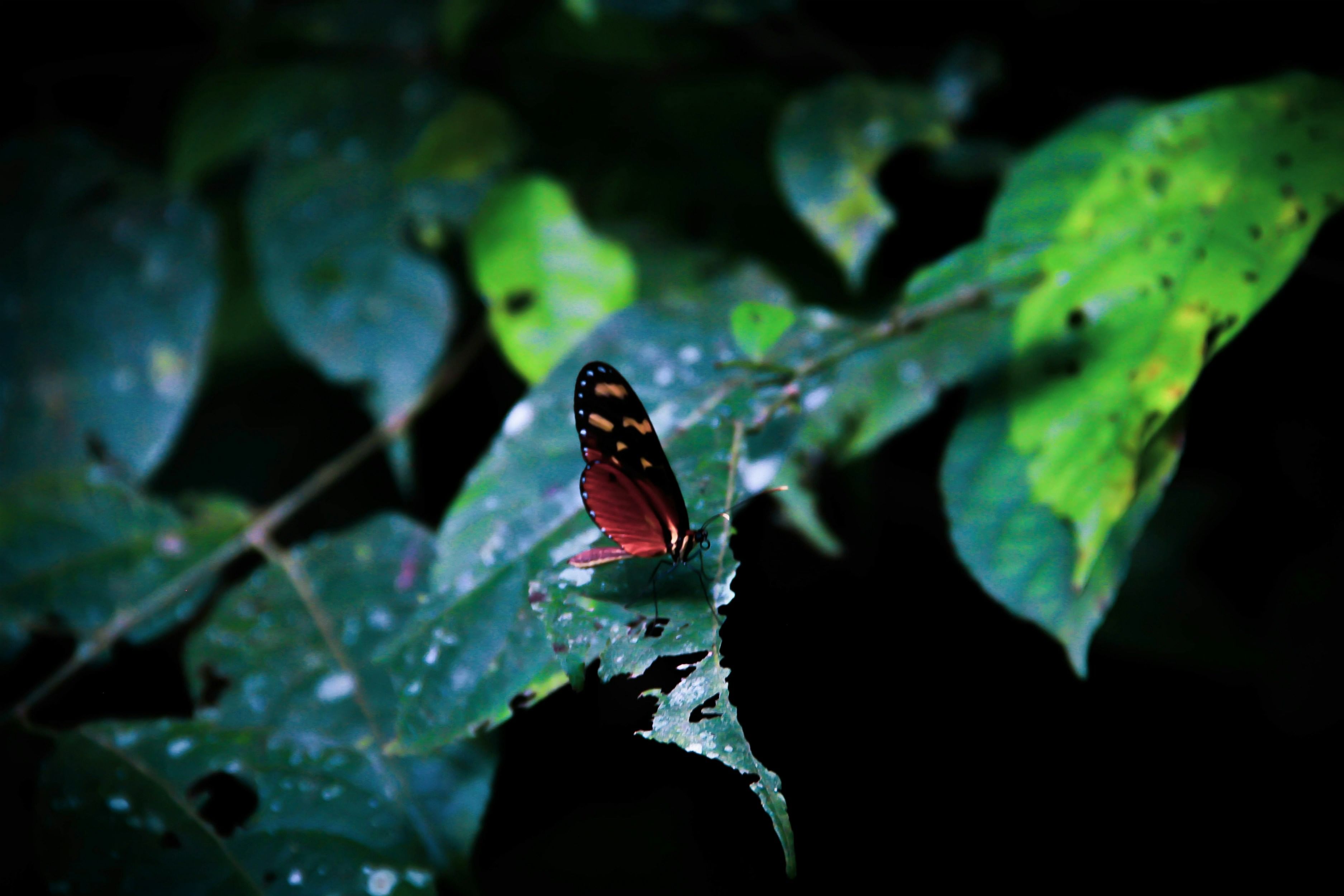 Trip Photo 9