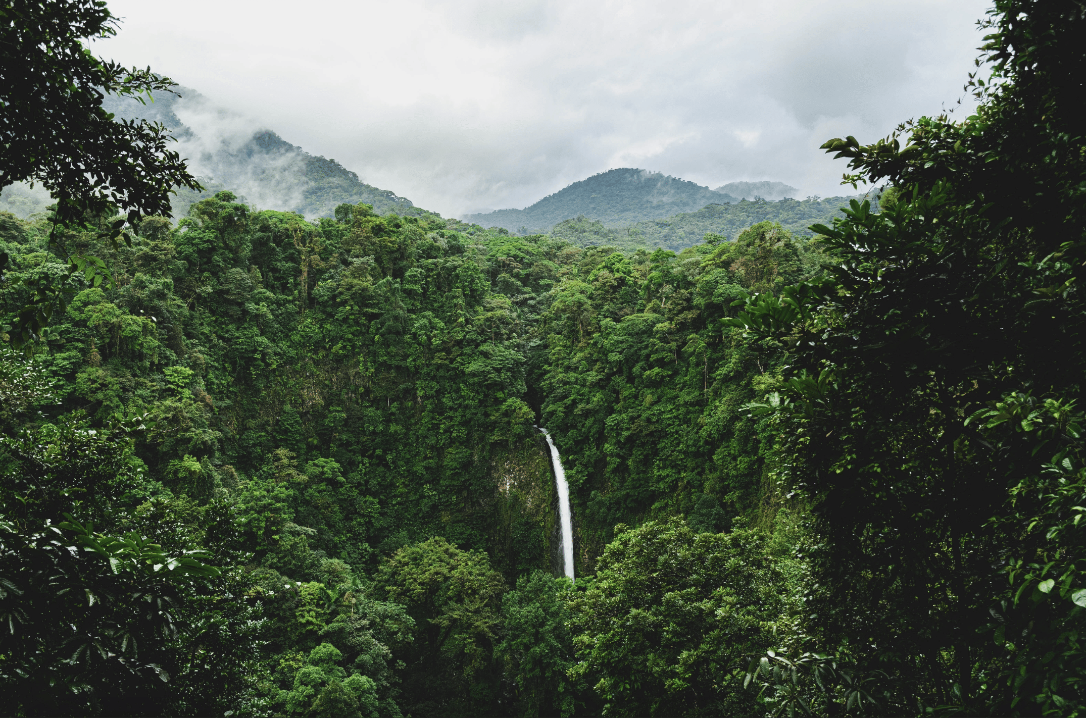 Trip Photo 4