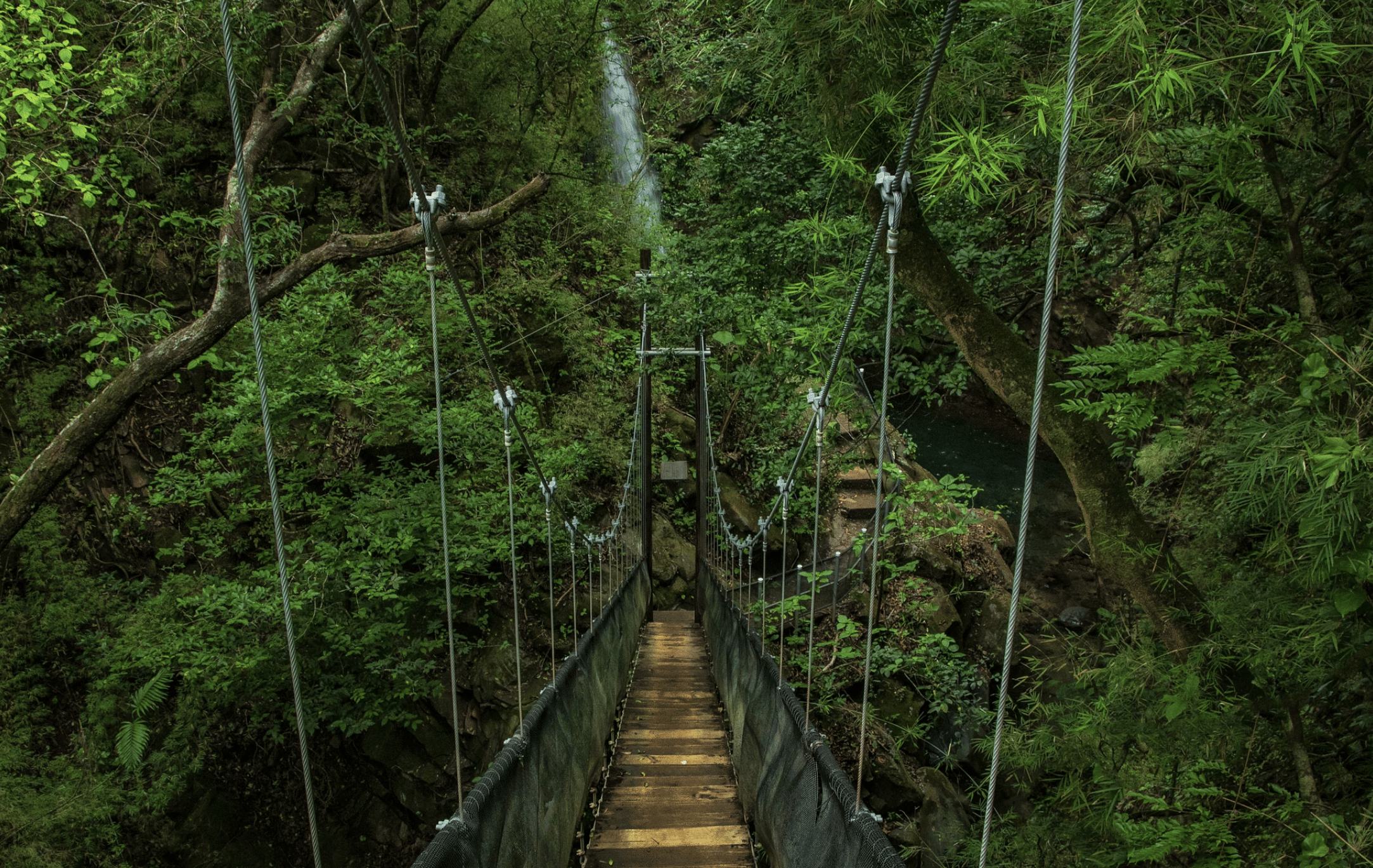 Trip Photo 3