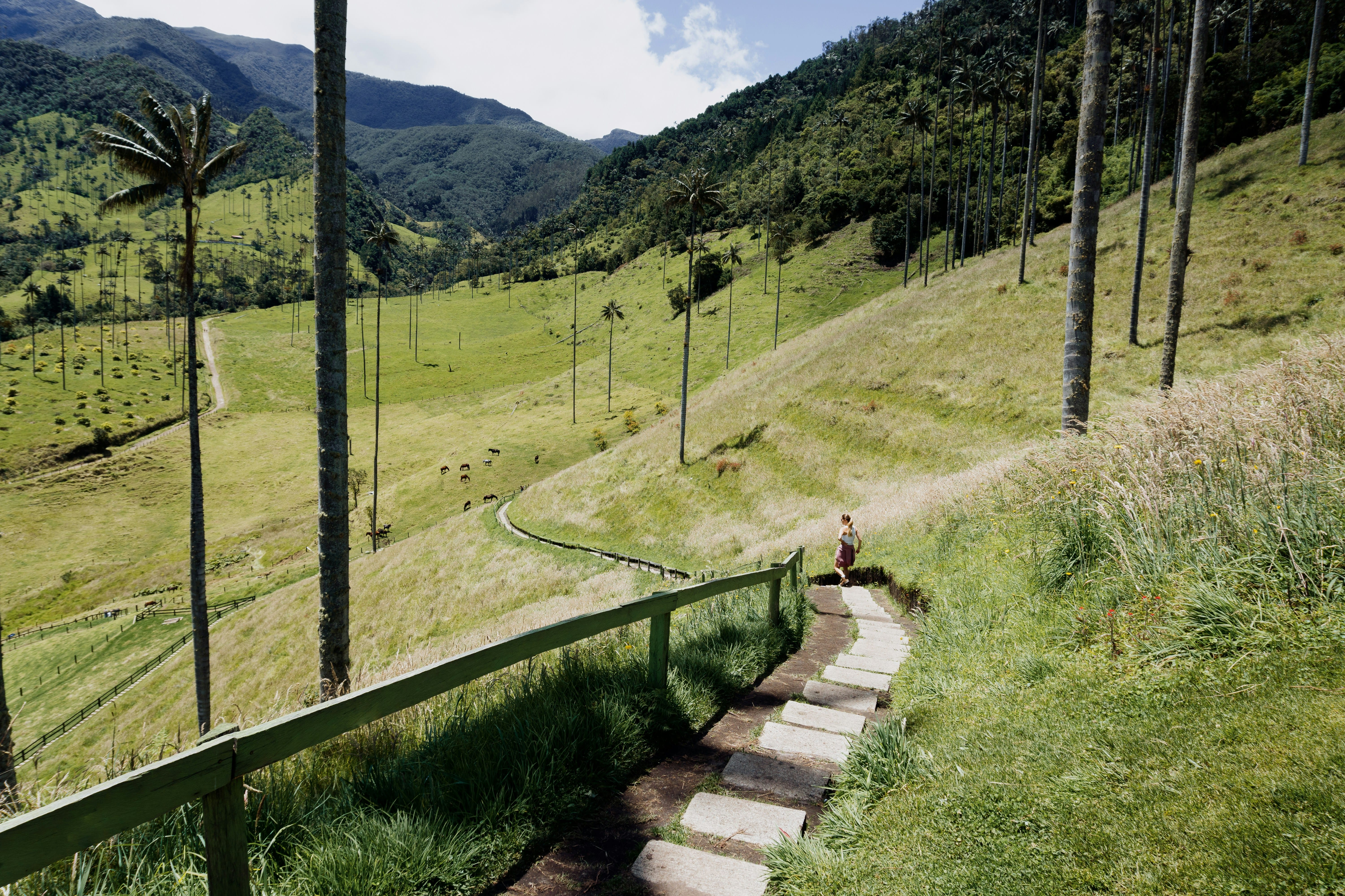 Trip Photo 6