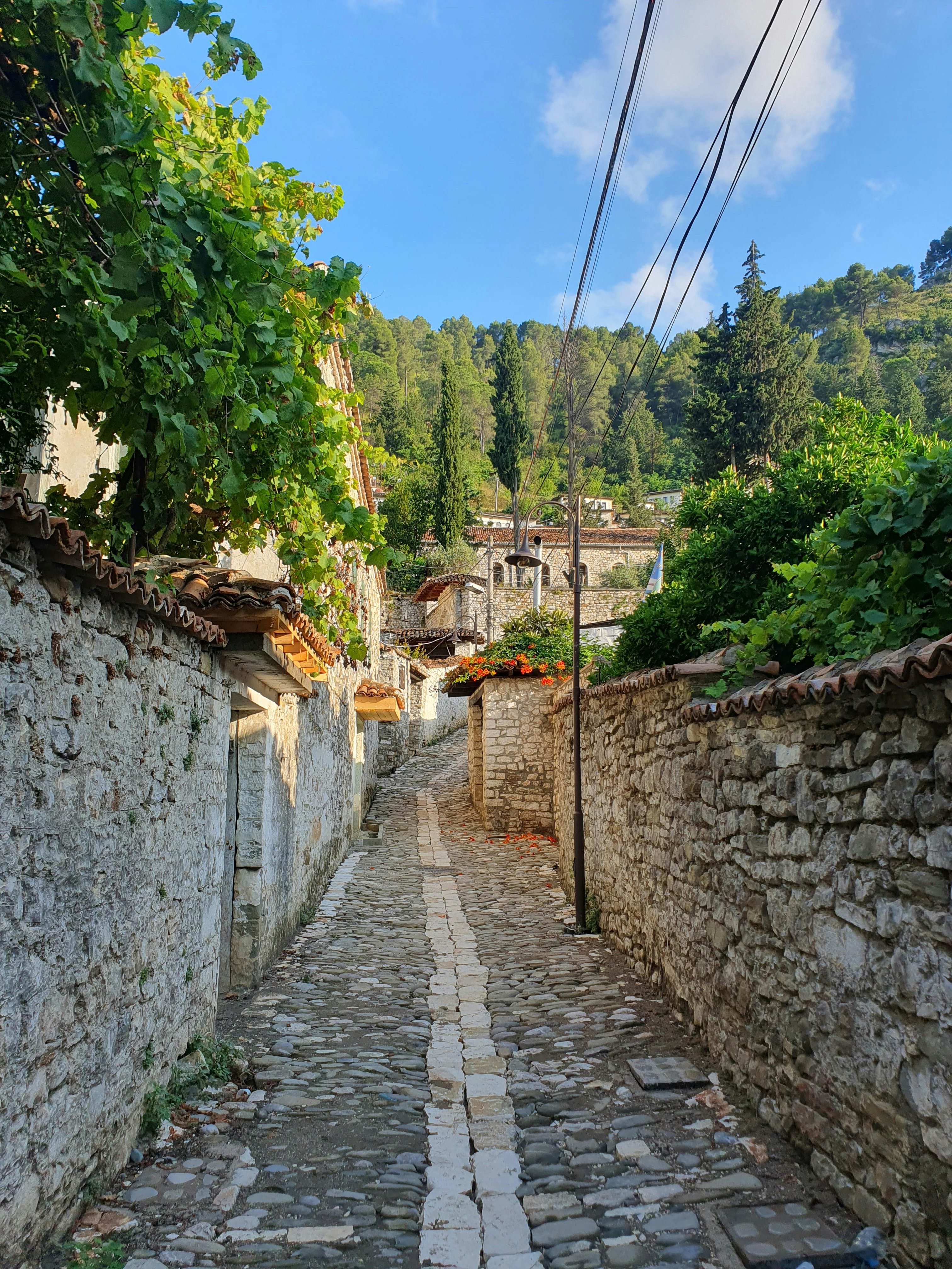 Trip Photo 6