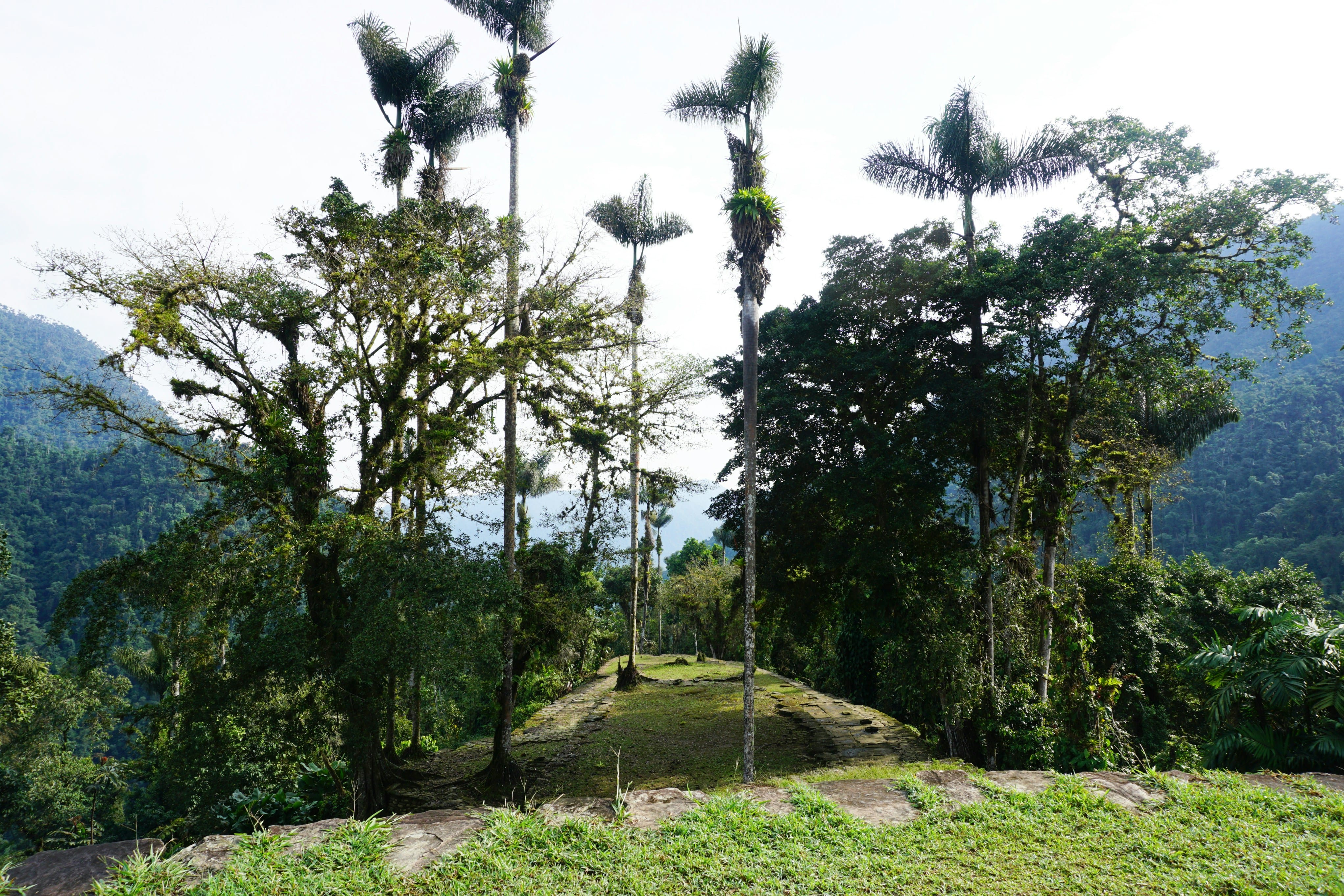 Trip Photo 5