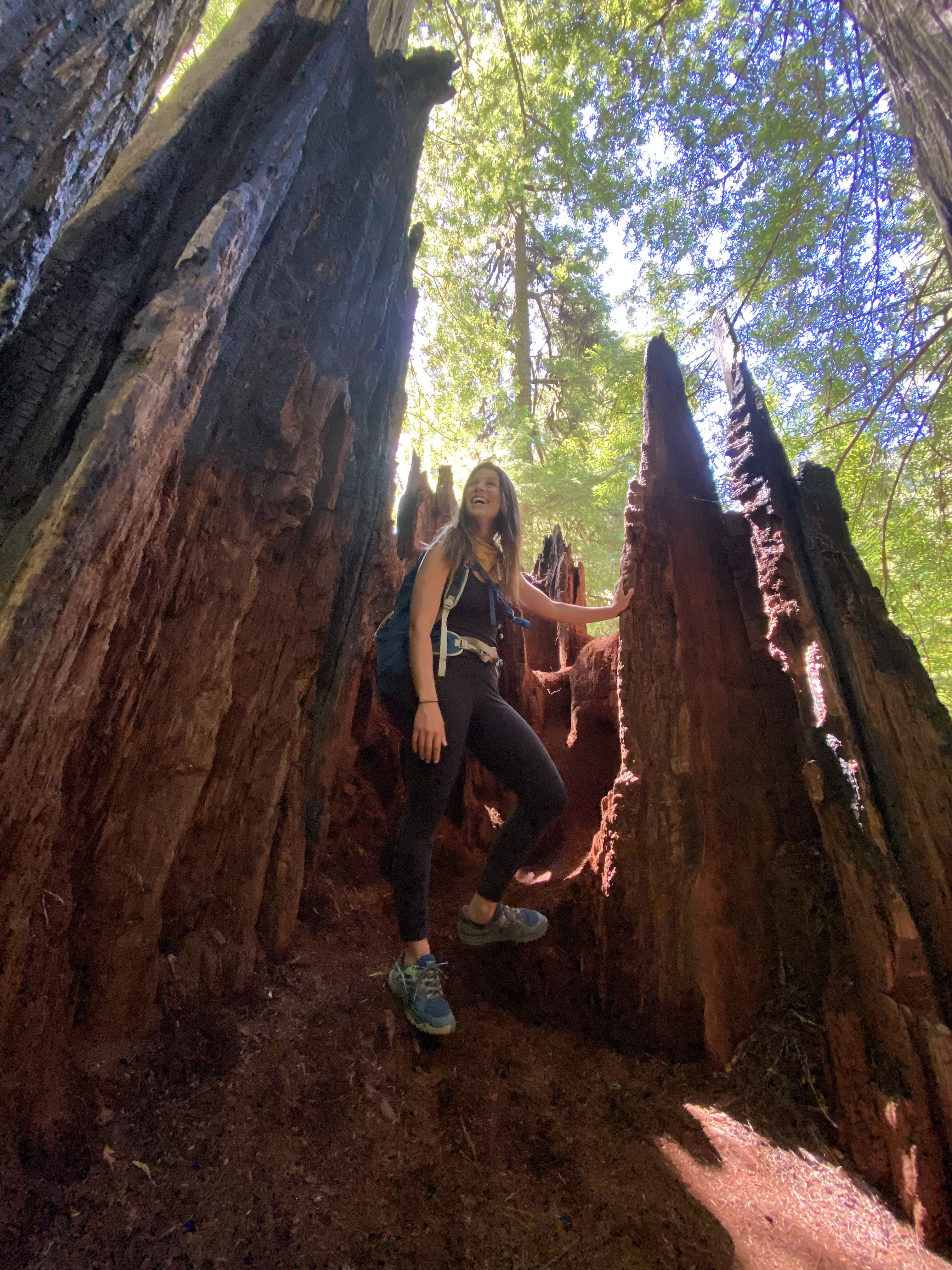 Trip Photo 5