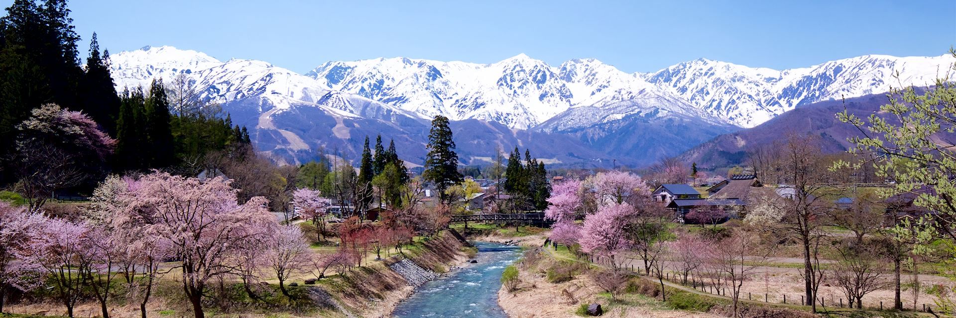 Trip Photo 1