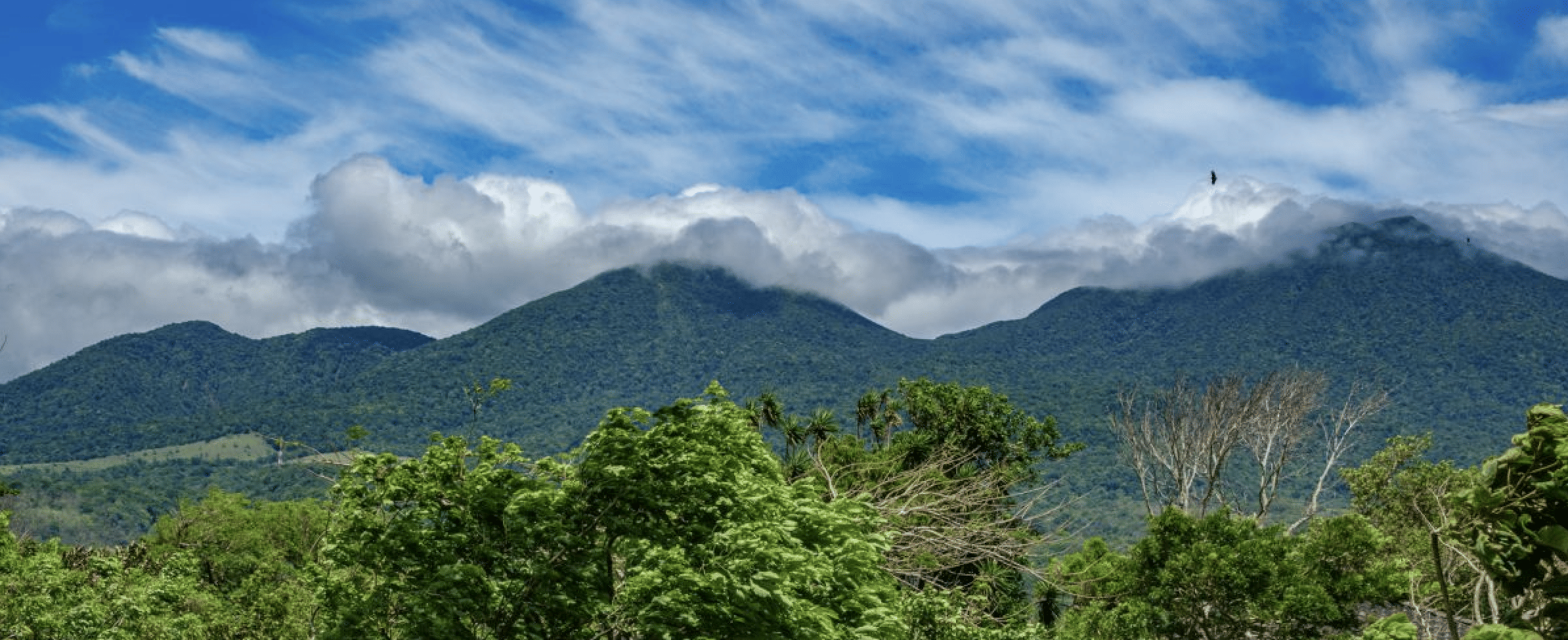 Trip Photo 1
