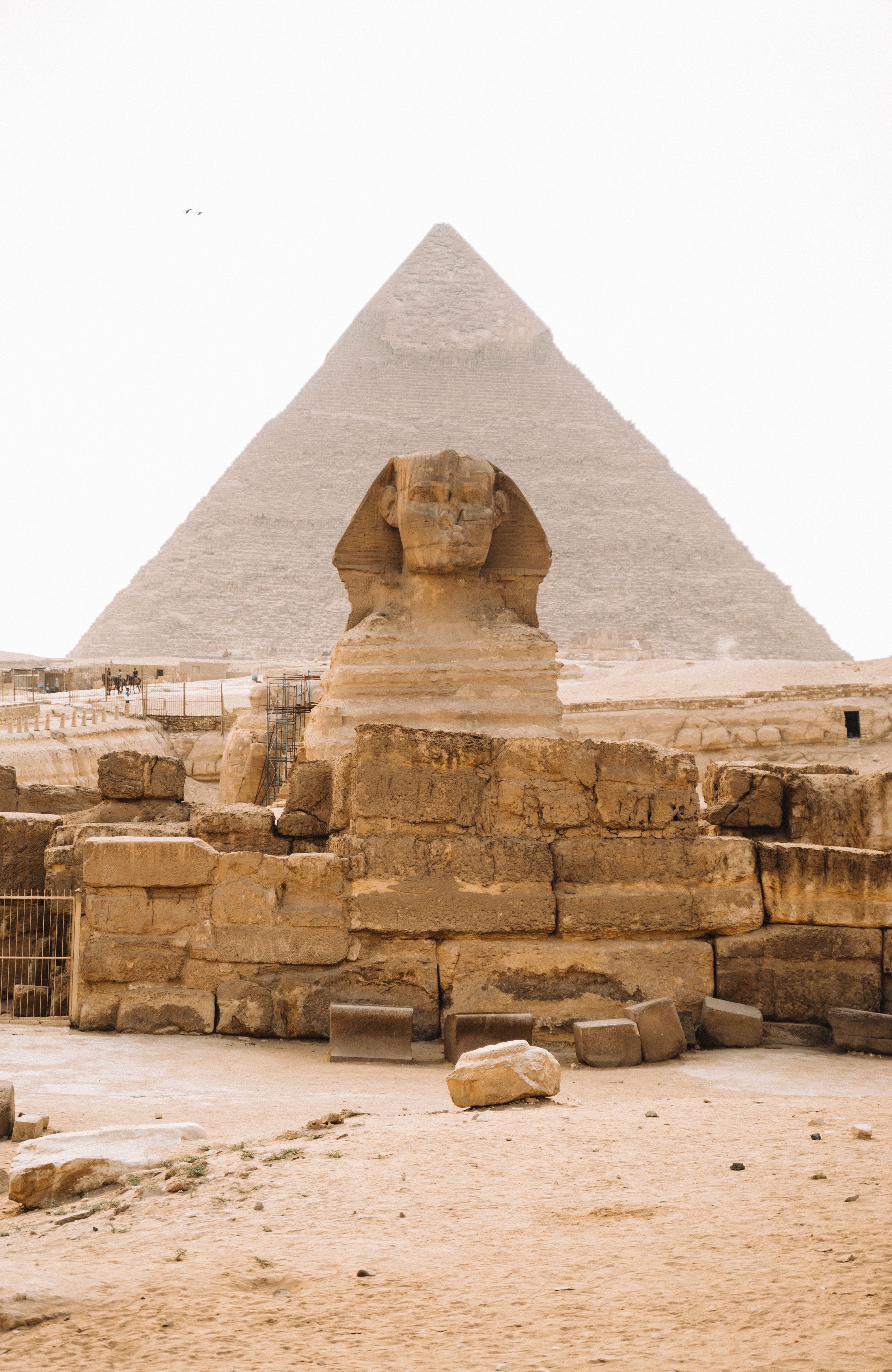 Trip Photo 8