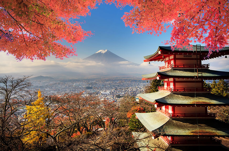 Trip Photo 4