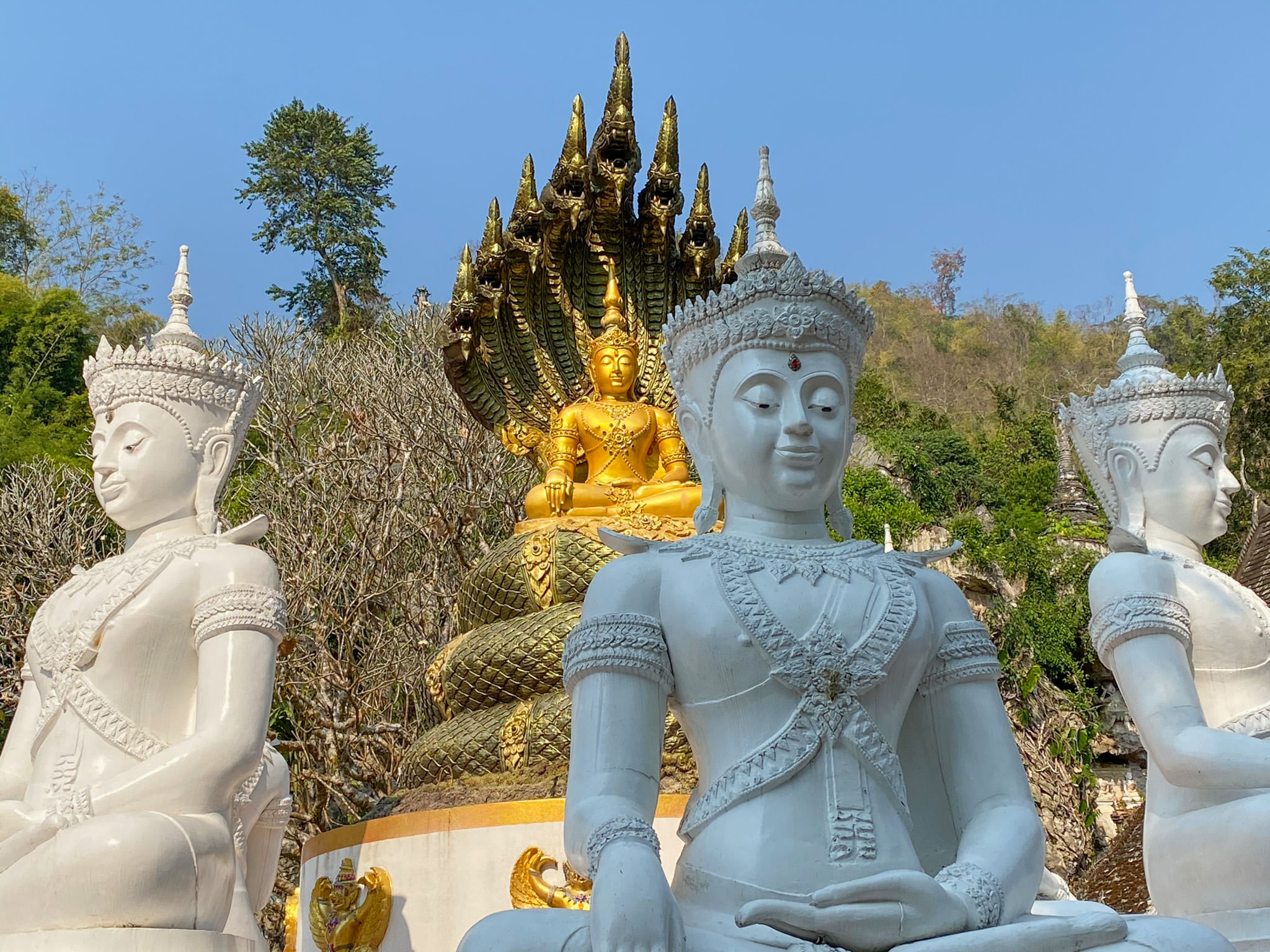 Trip Photo 10