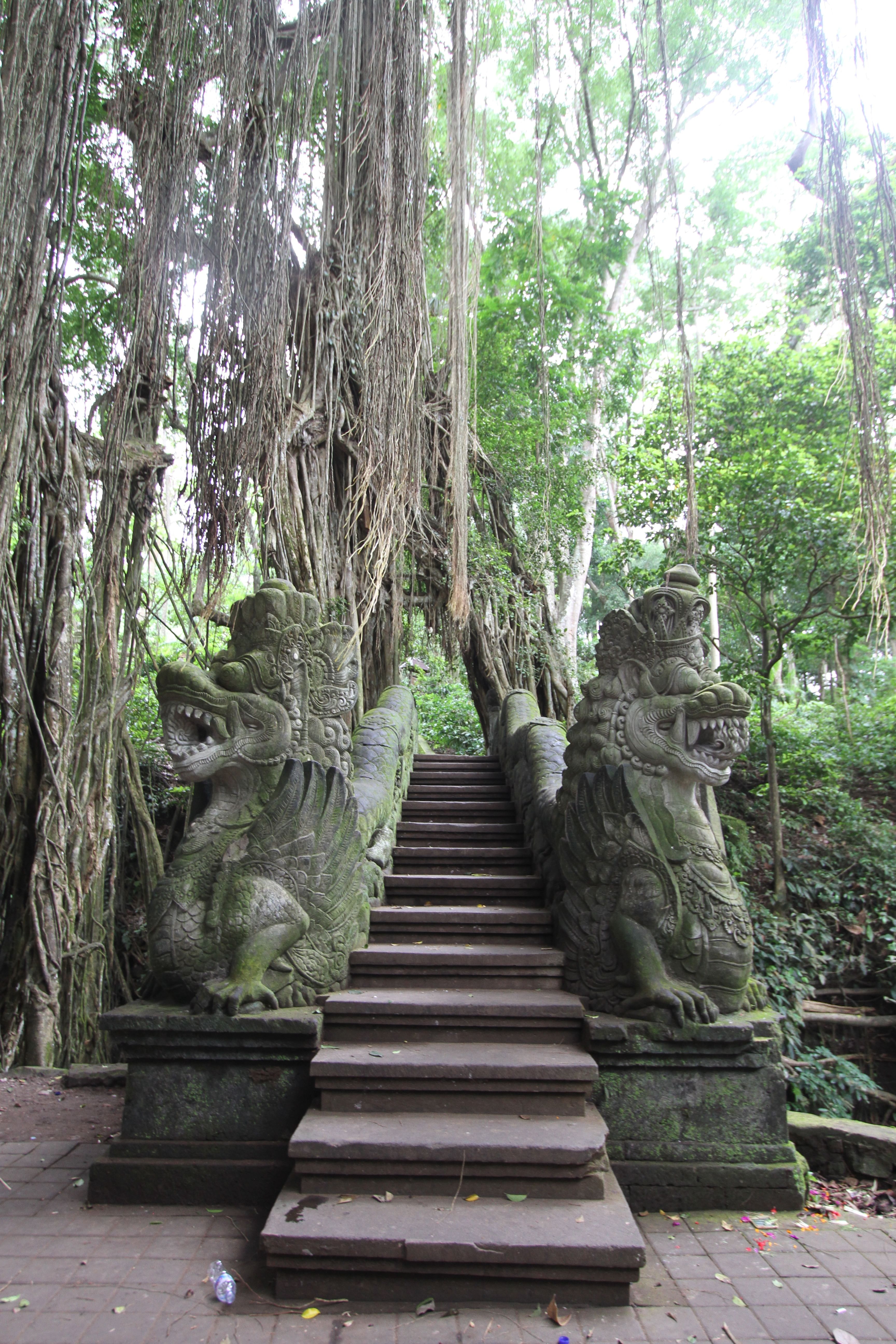Trip Photo 4