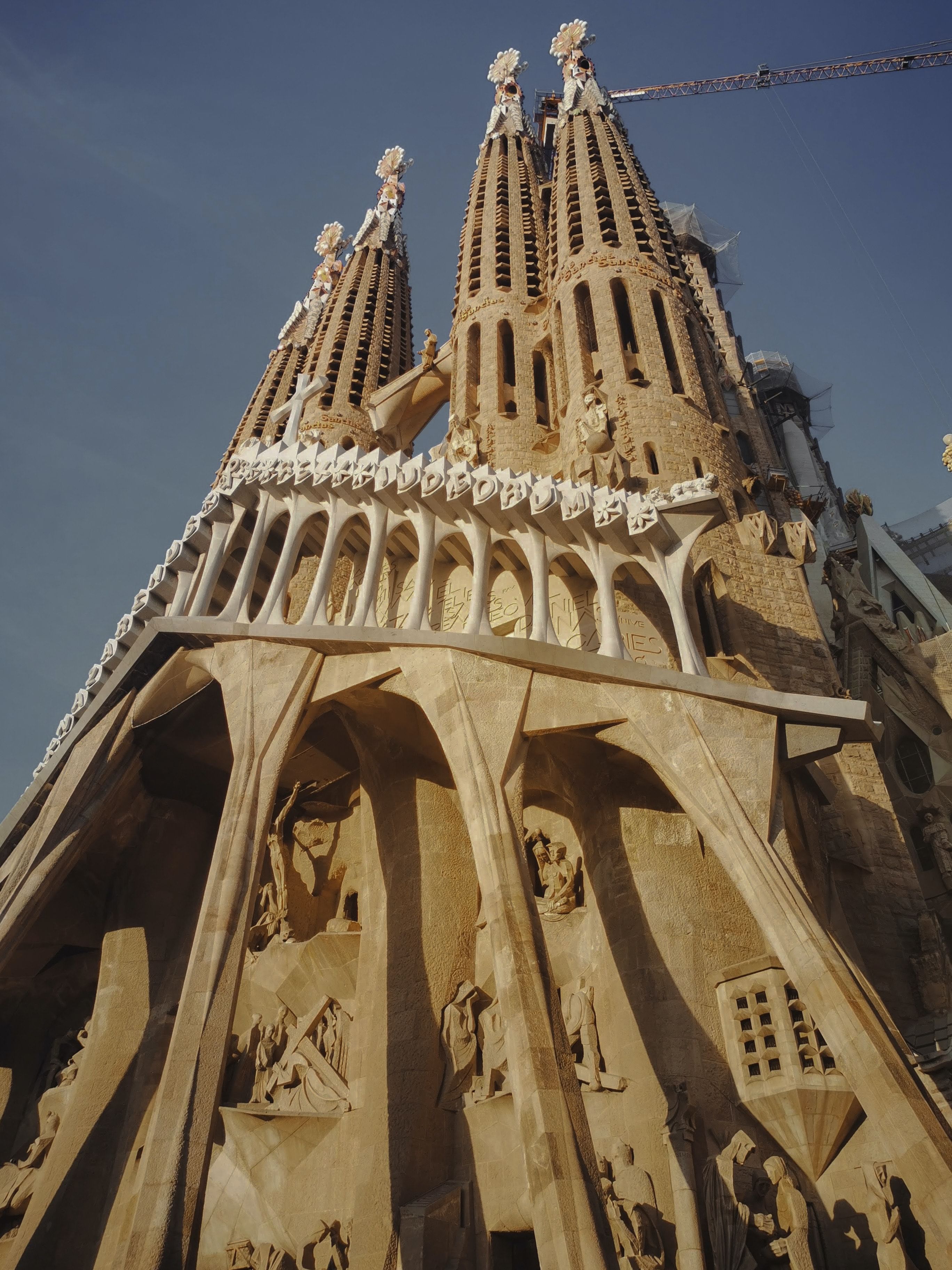 Trip Photo 5