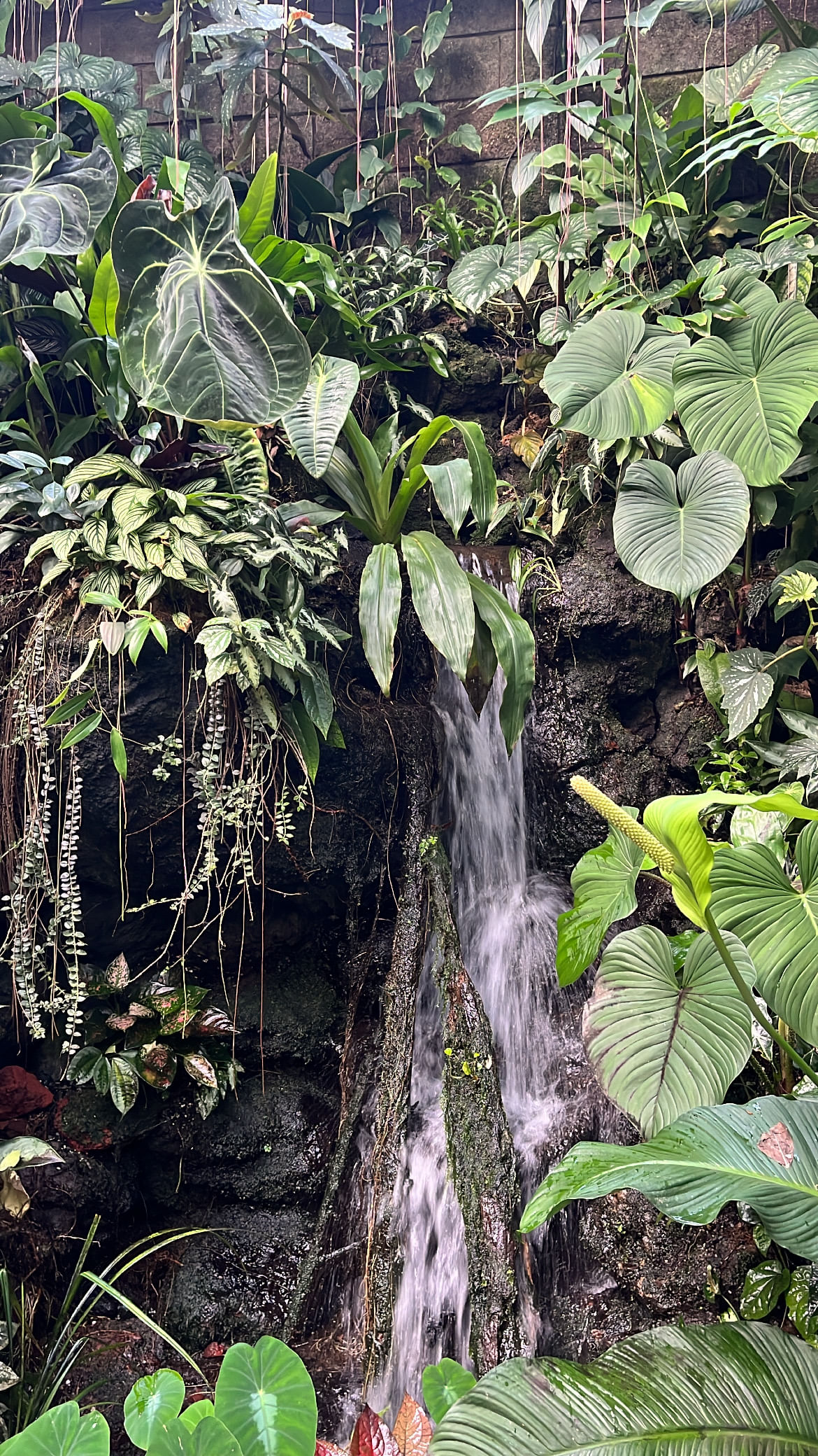 Trip Photo 5
