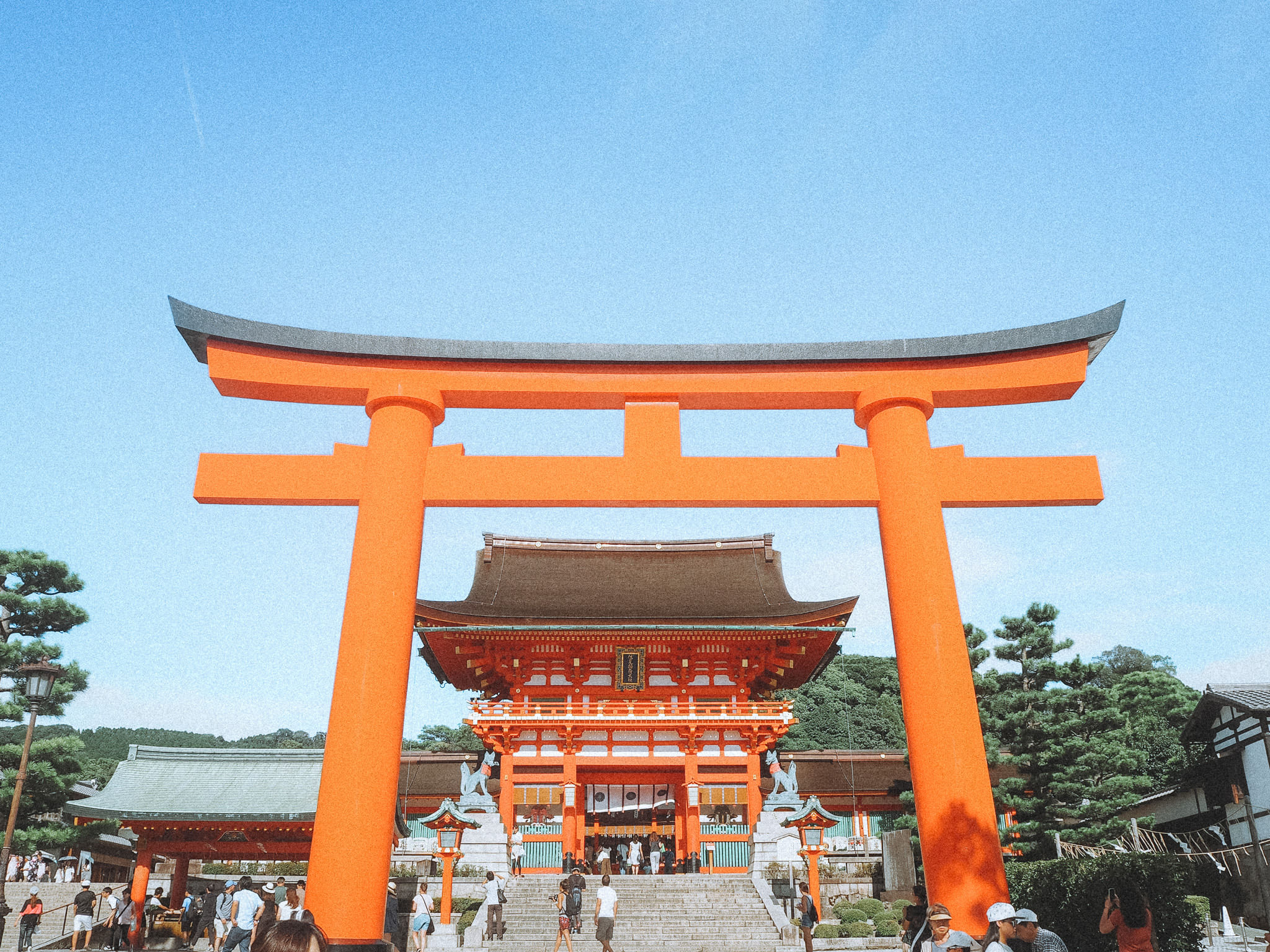 Trip Photo 9