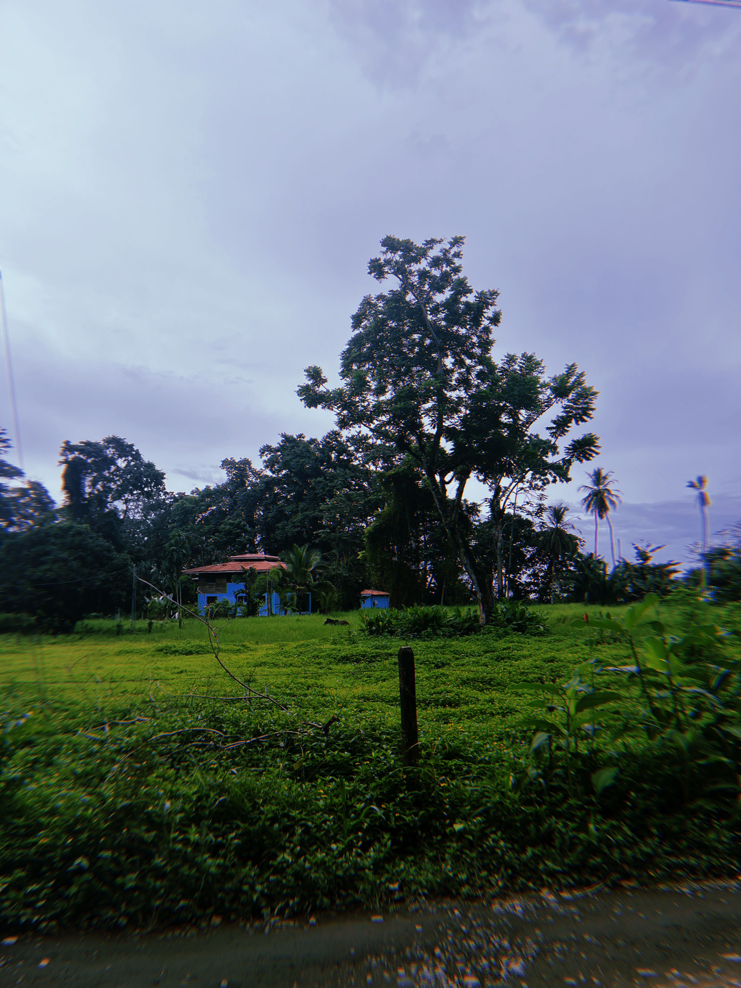 Trip Photo 10