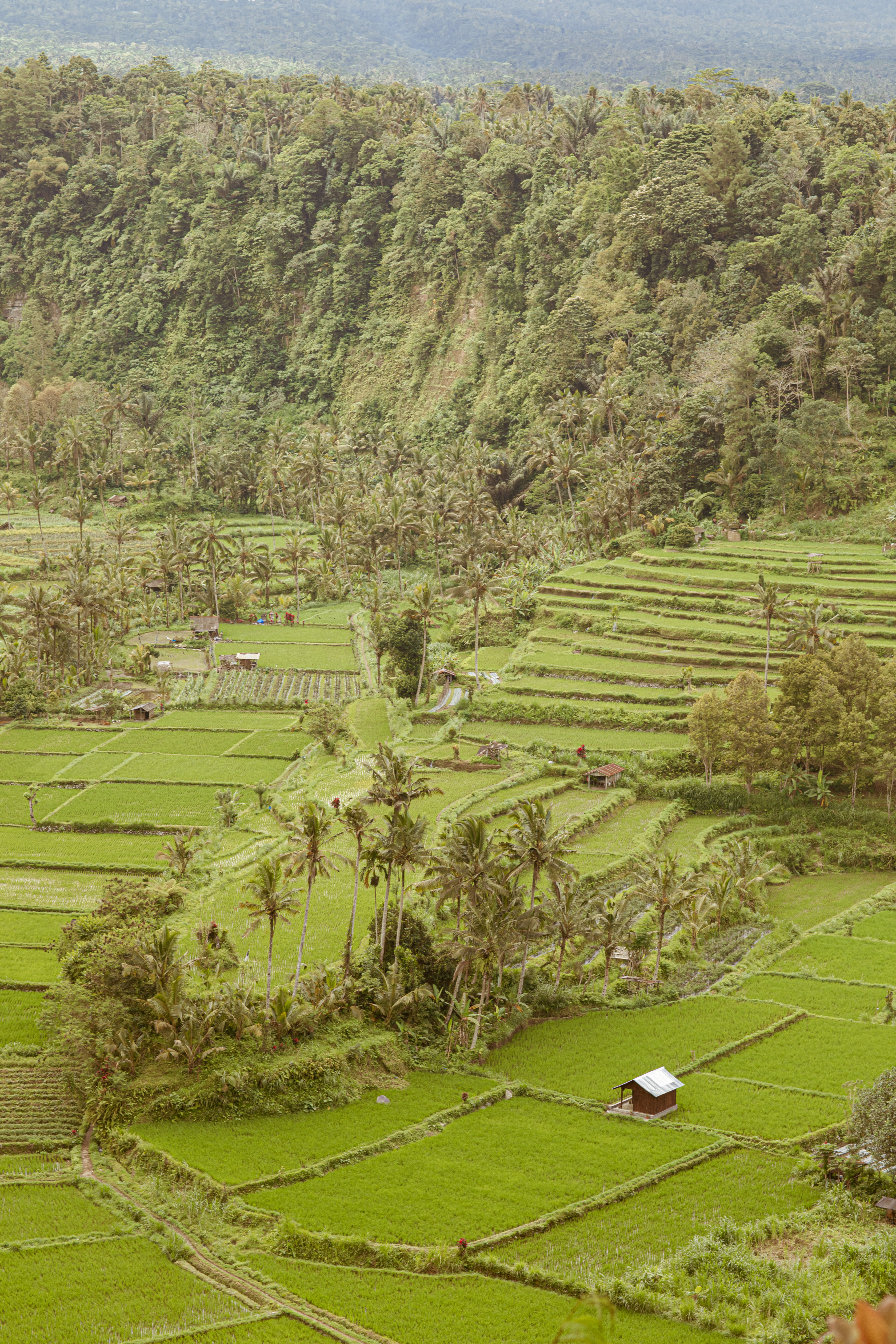 Trip Photo 9