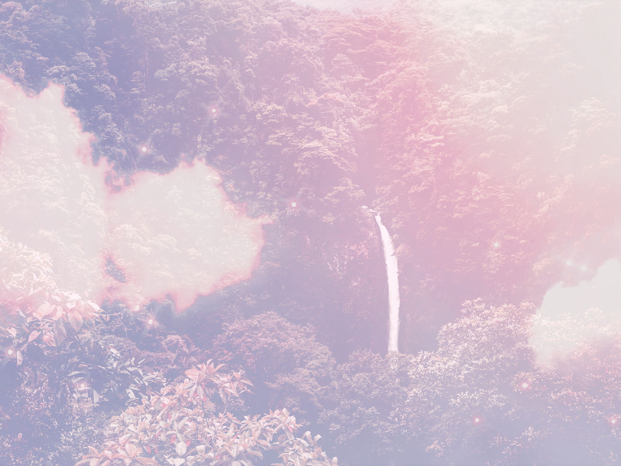 Trip Photo 1