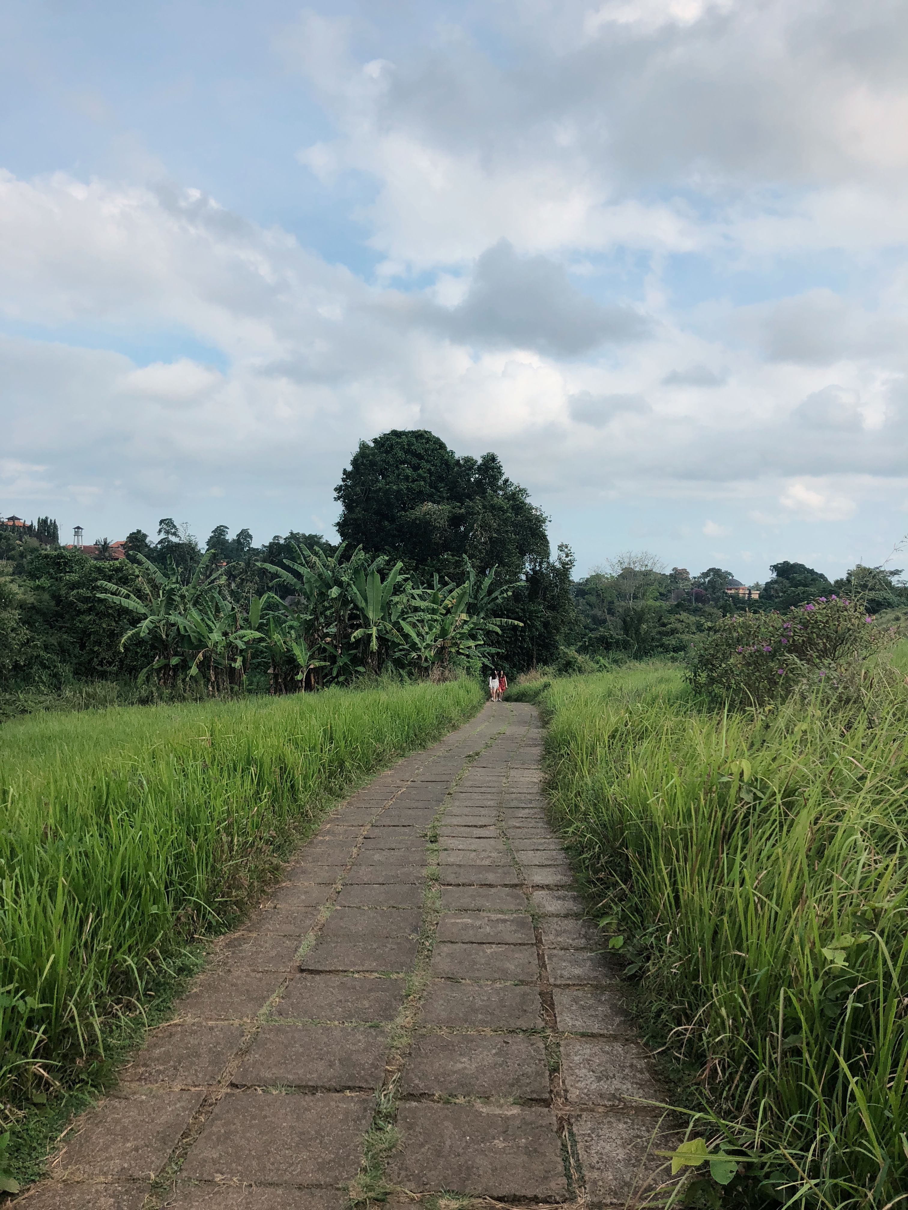 Trip Photo 4