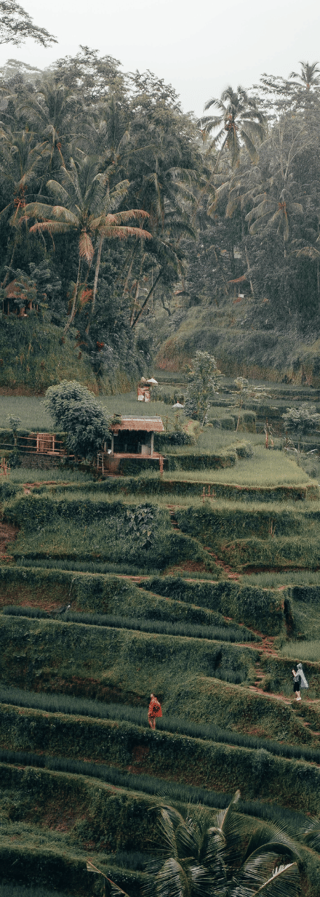 Trip Photo 3