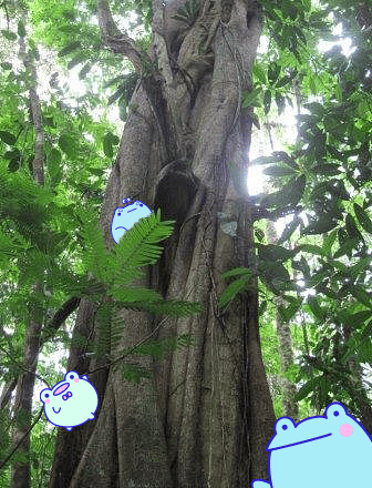 Trip Photo 4