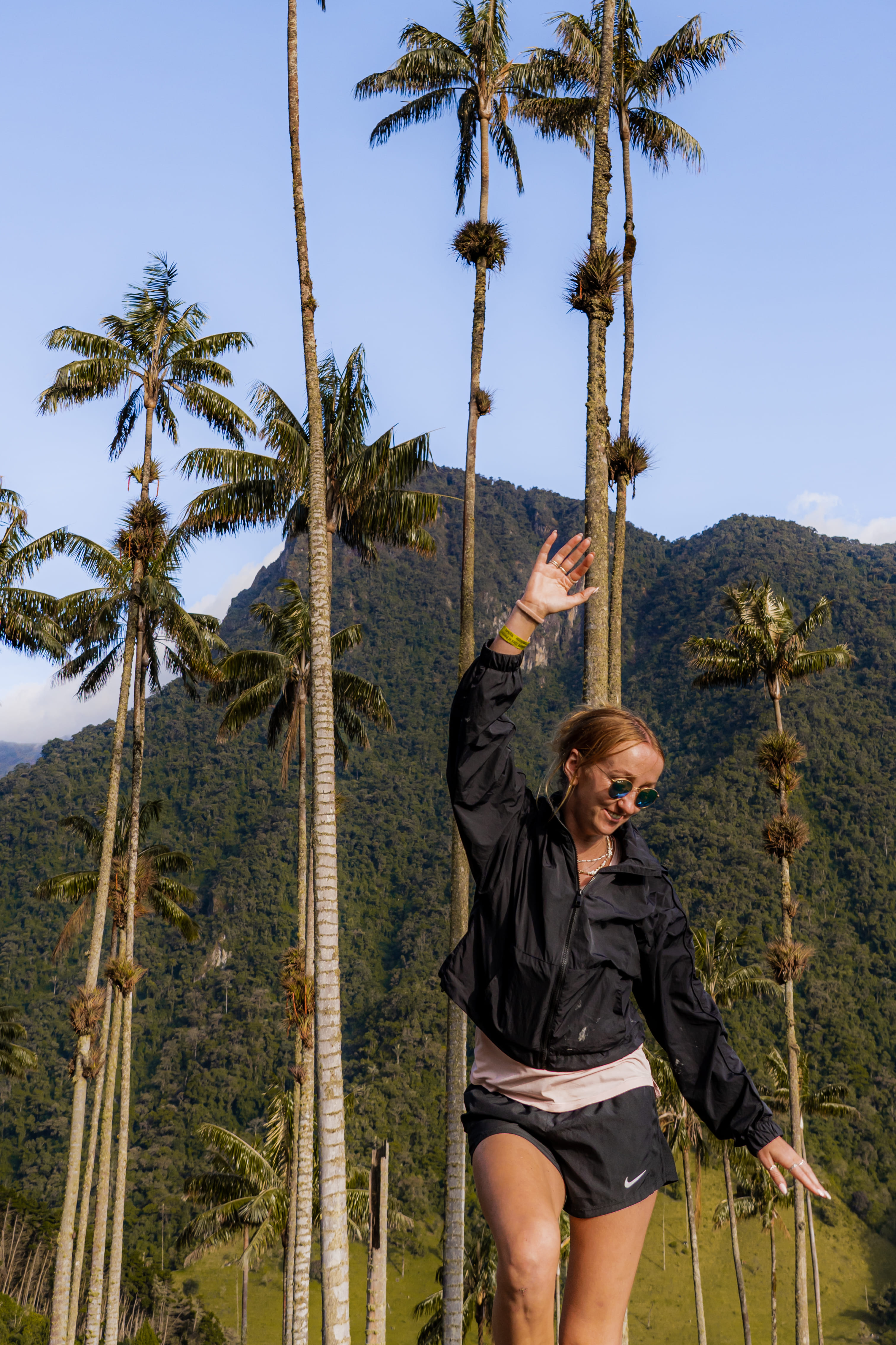 Daisys Travel Diaries 