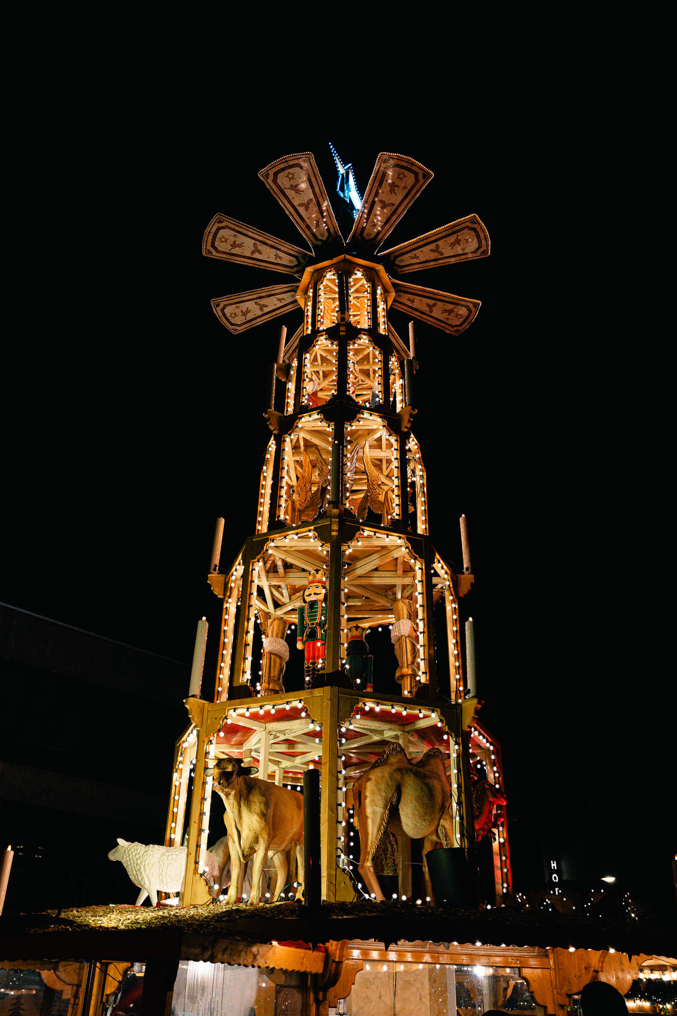 Trip Photo 5