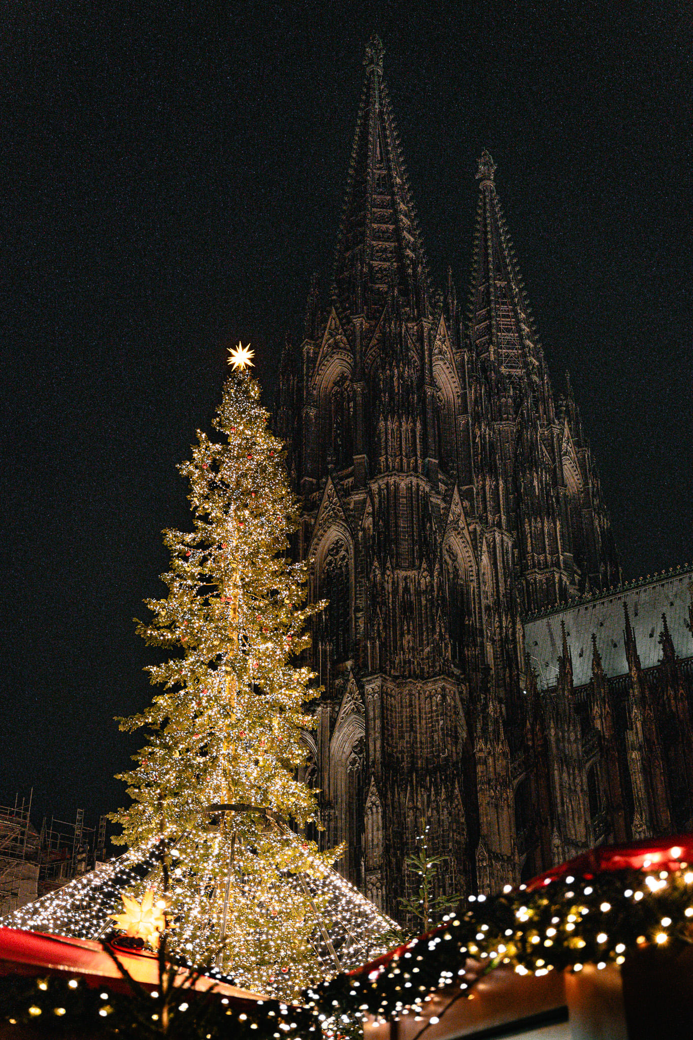 Trip Photo 8