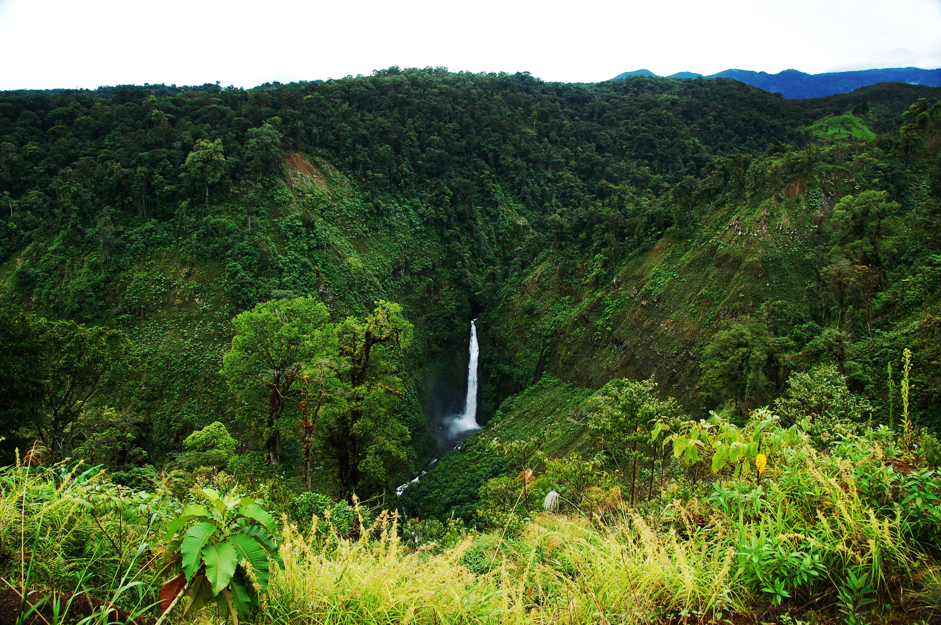 Trip Photo 4