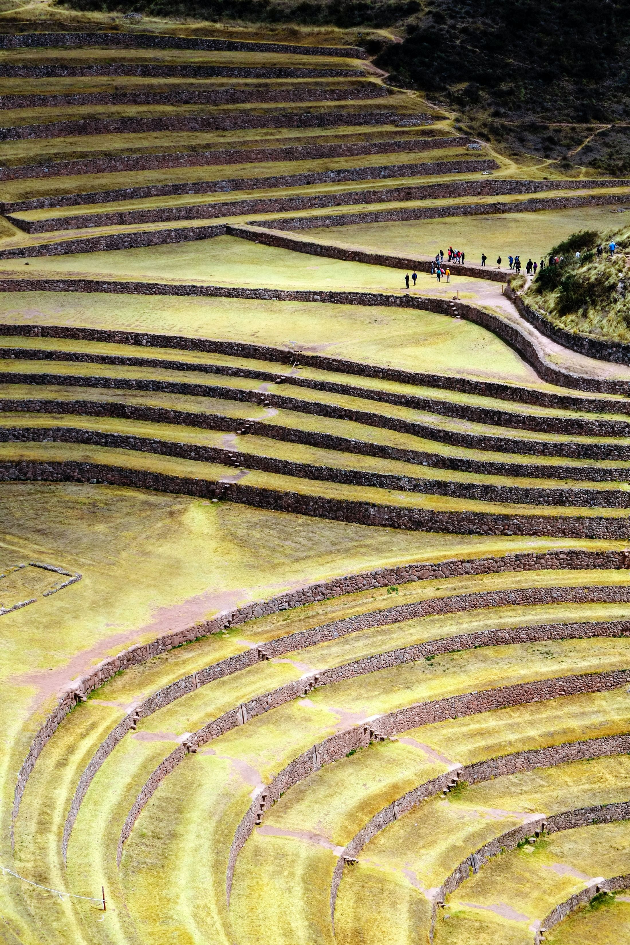 Trip Photo 4
