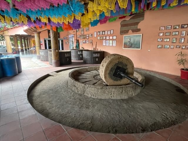 Trip Photo 6