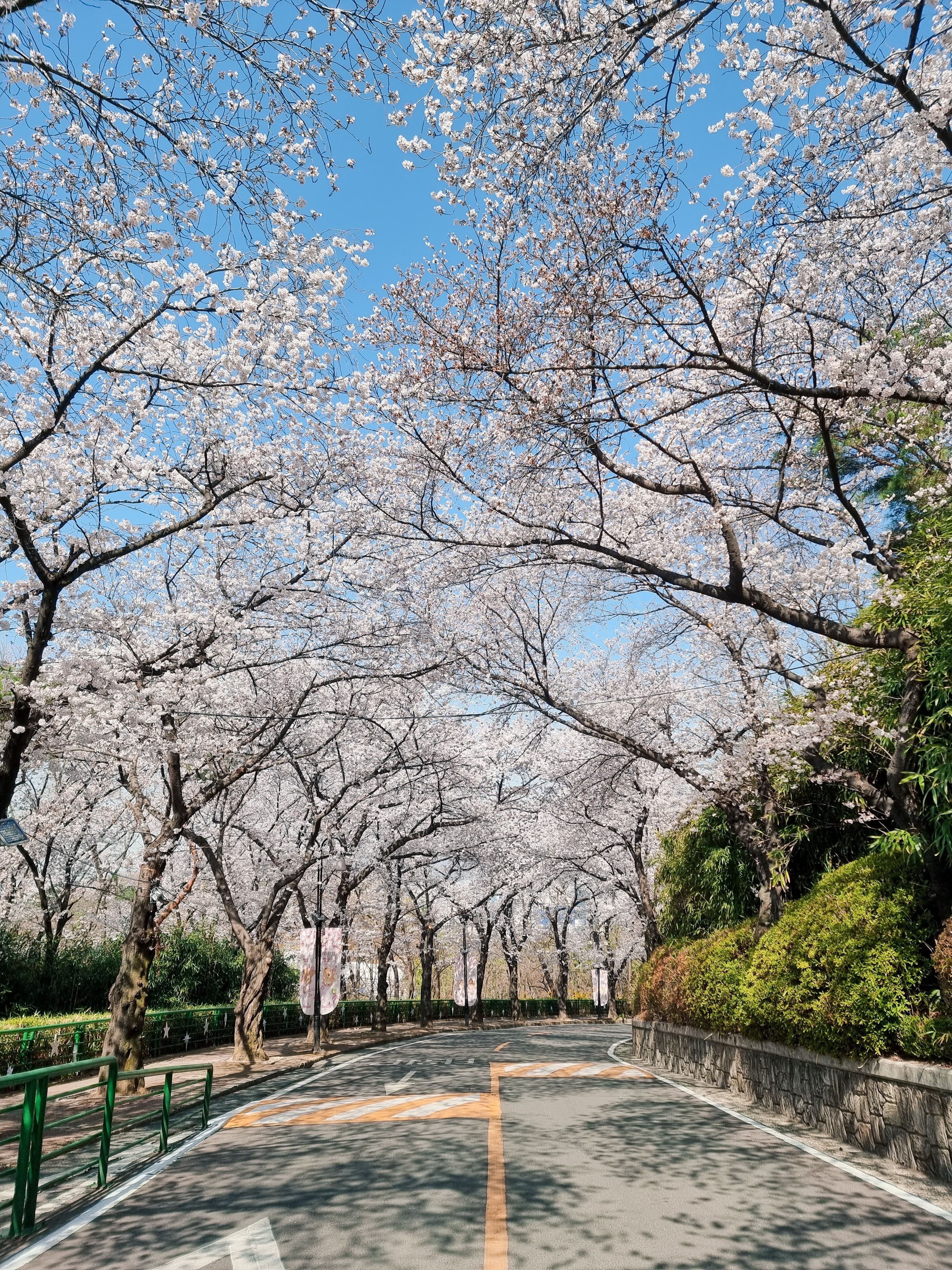 Trip Photo 6