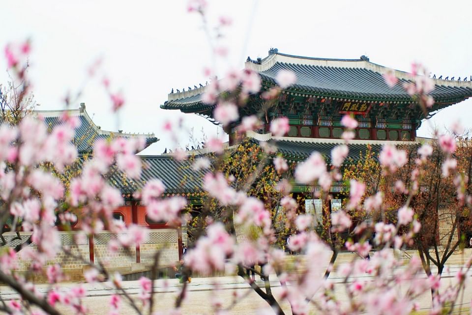 Trip Photo 8
