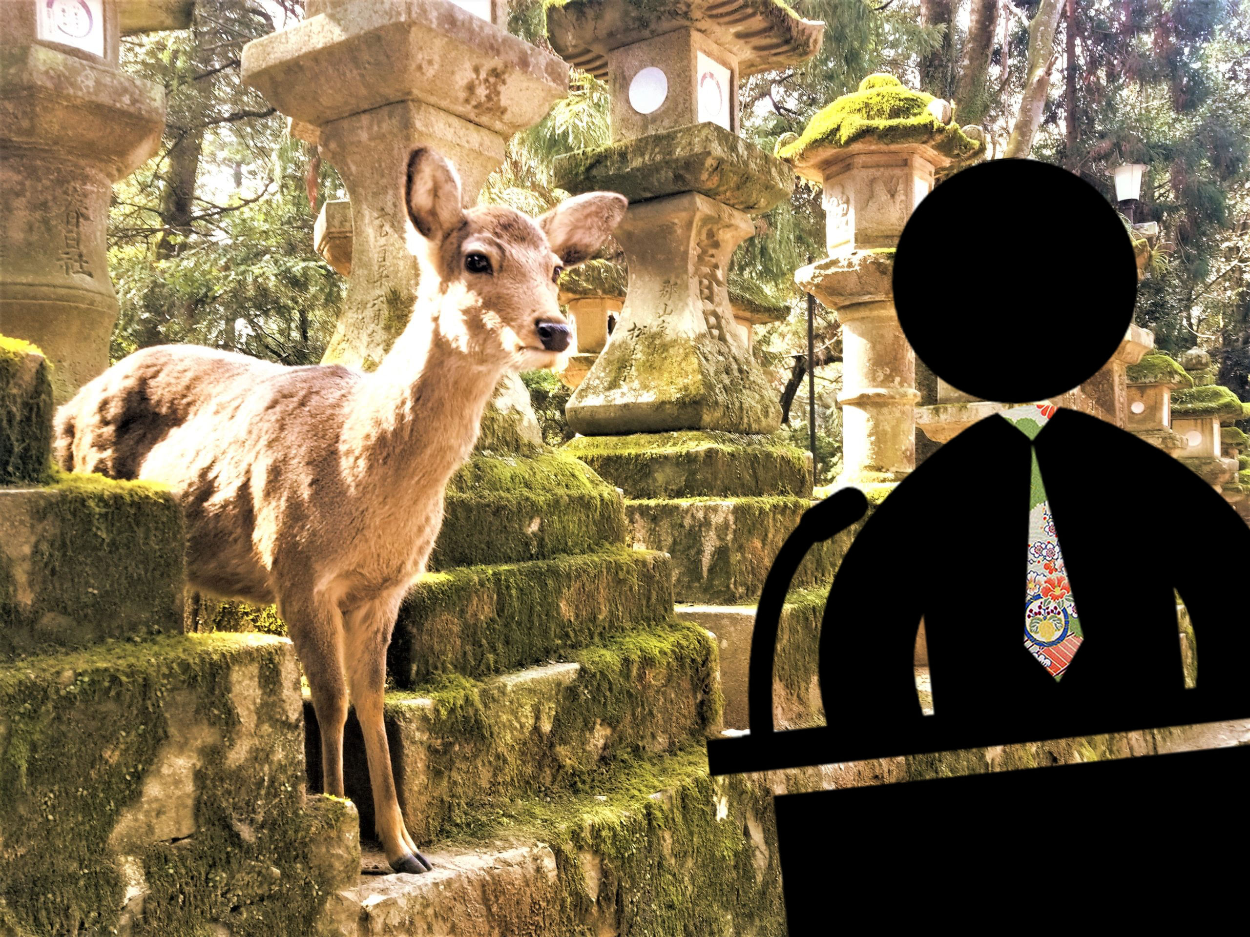 Trip Photo 5