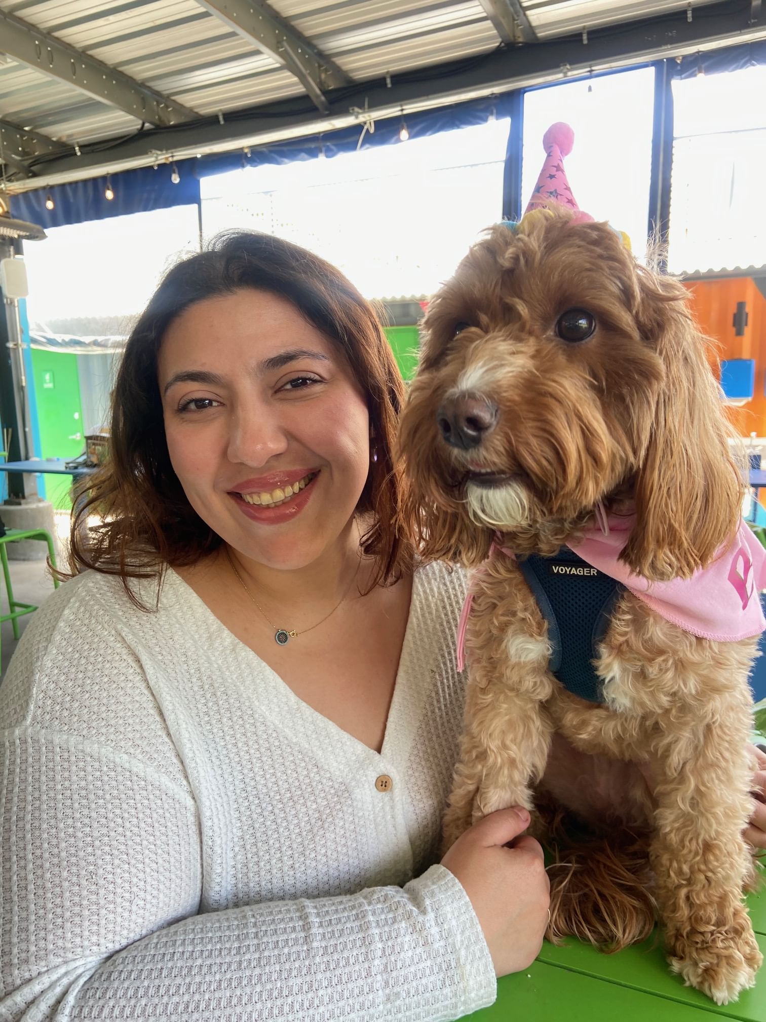 Shadi HasanzadeNemati