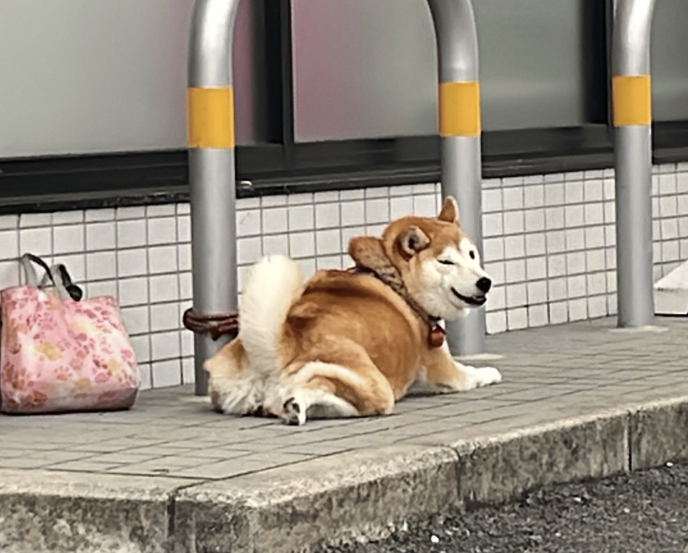 Trip Photo 8