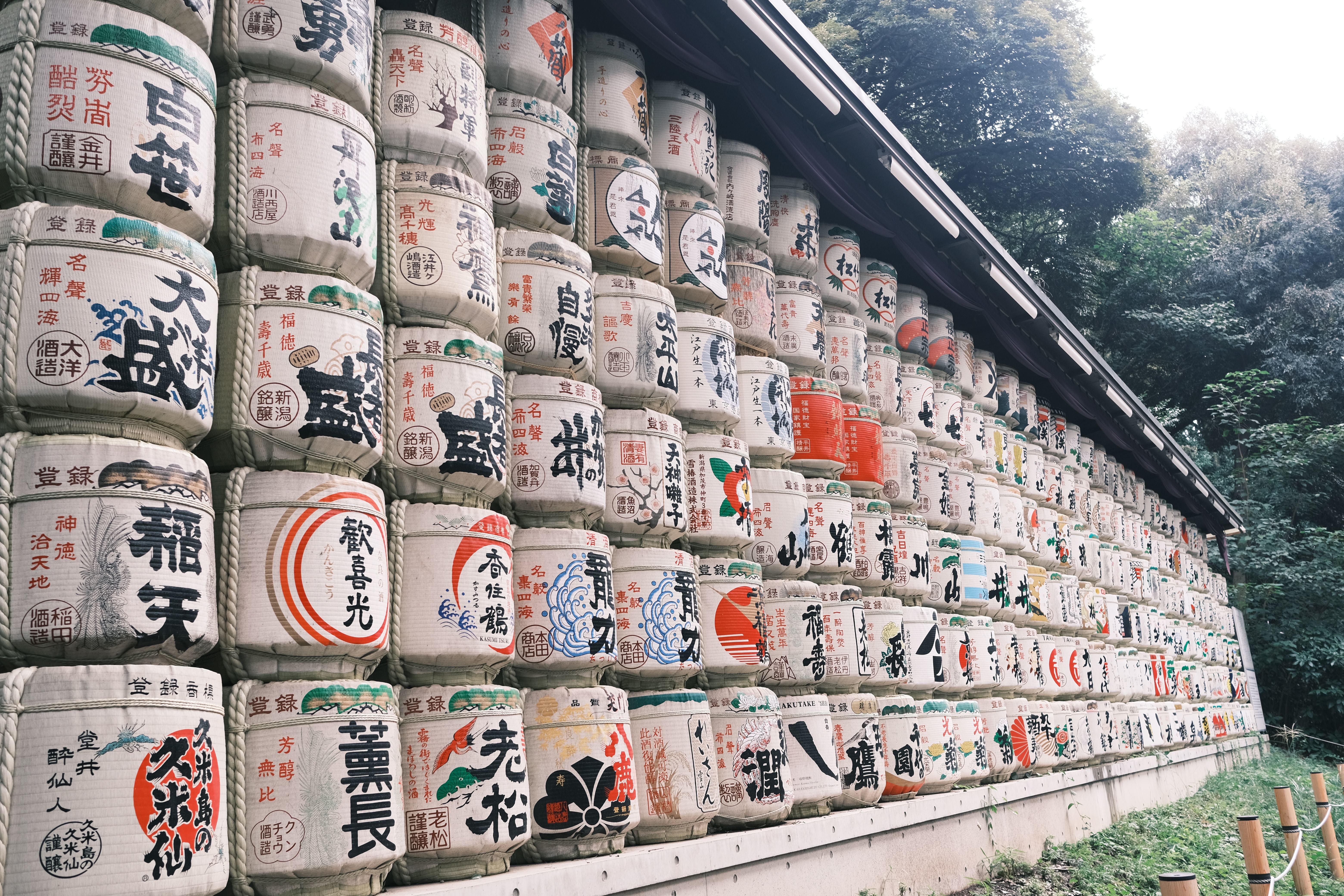 Trip Photo 5