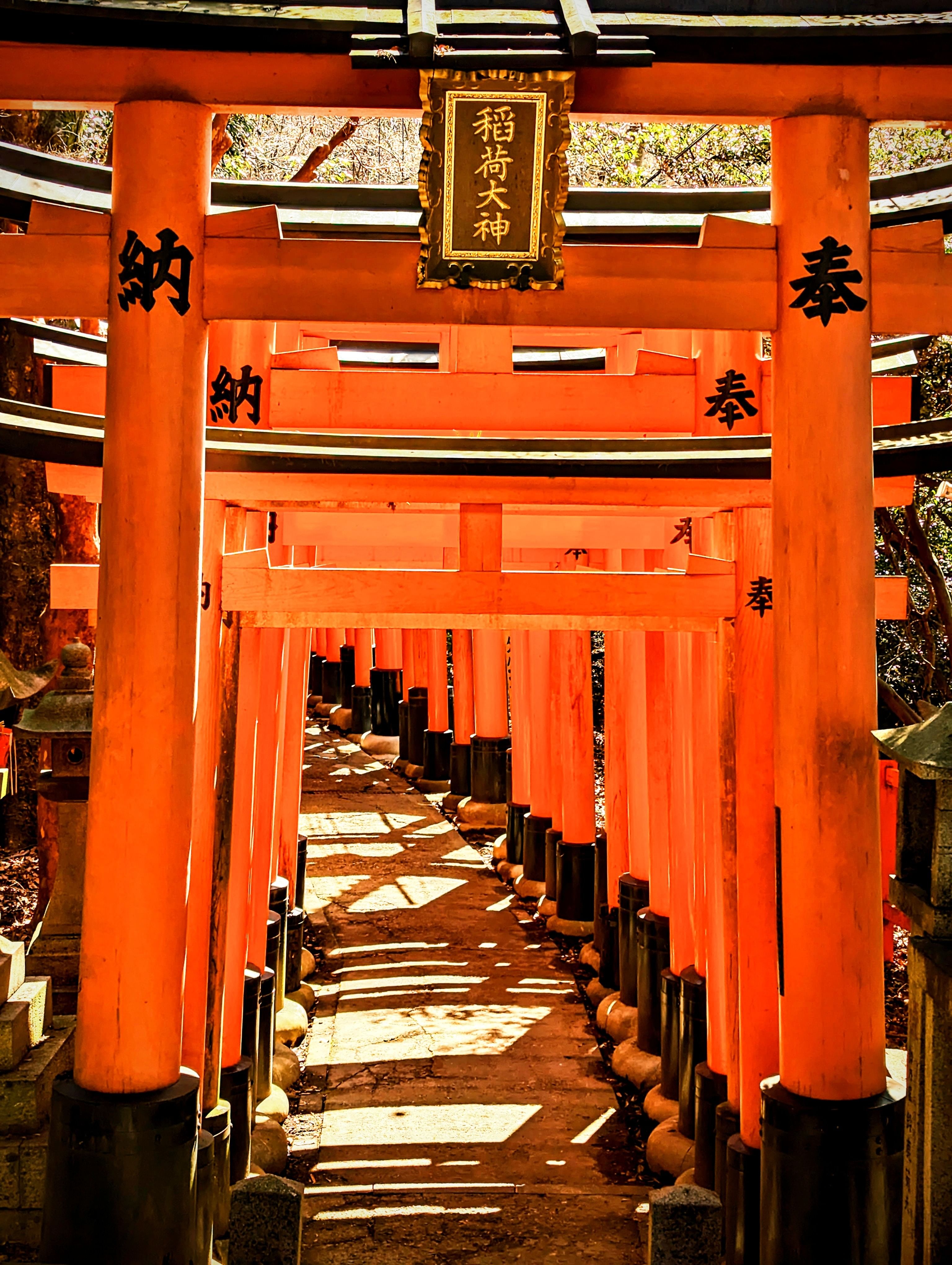 Trip Photo 2